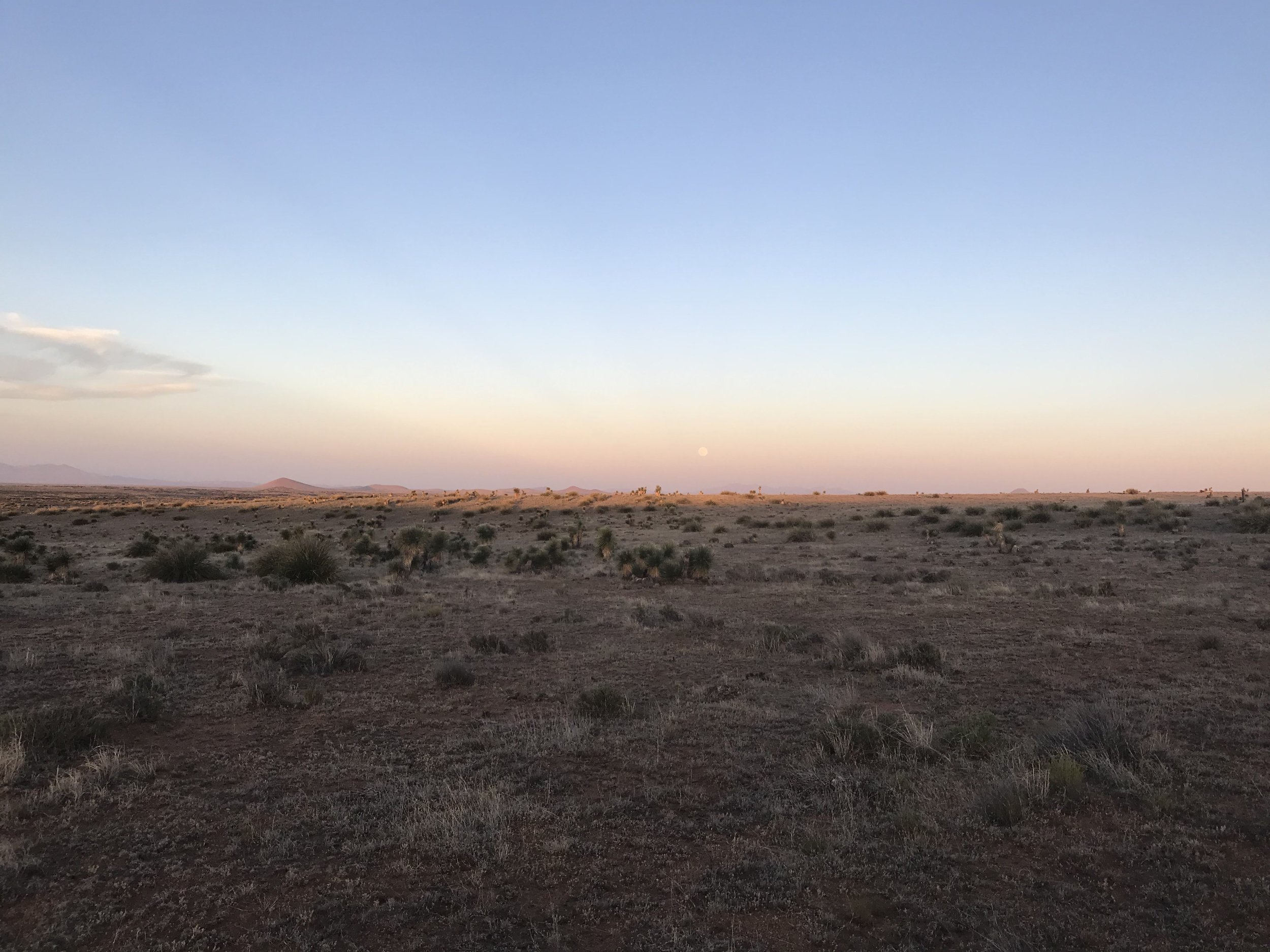 6:16:19_9847.jpg