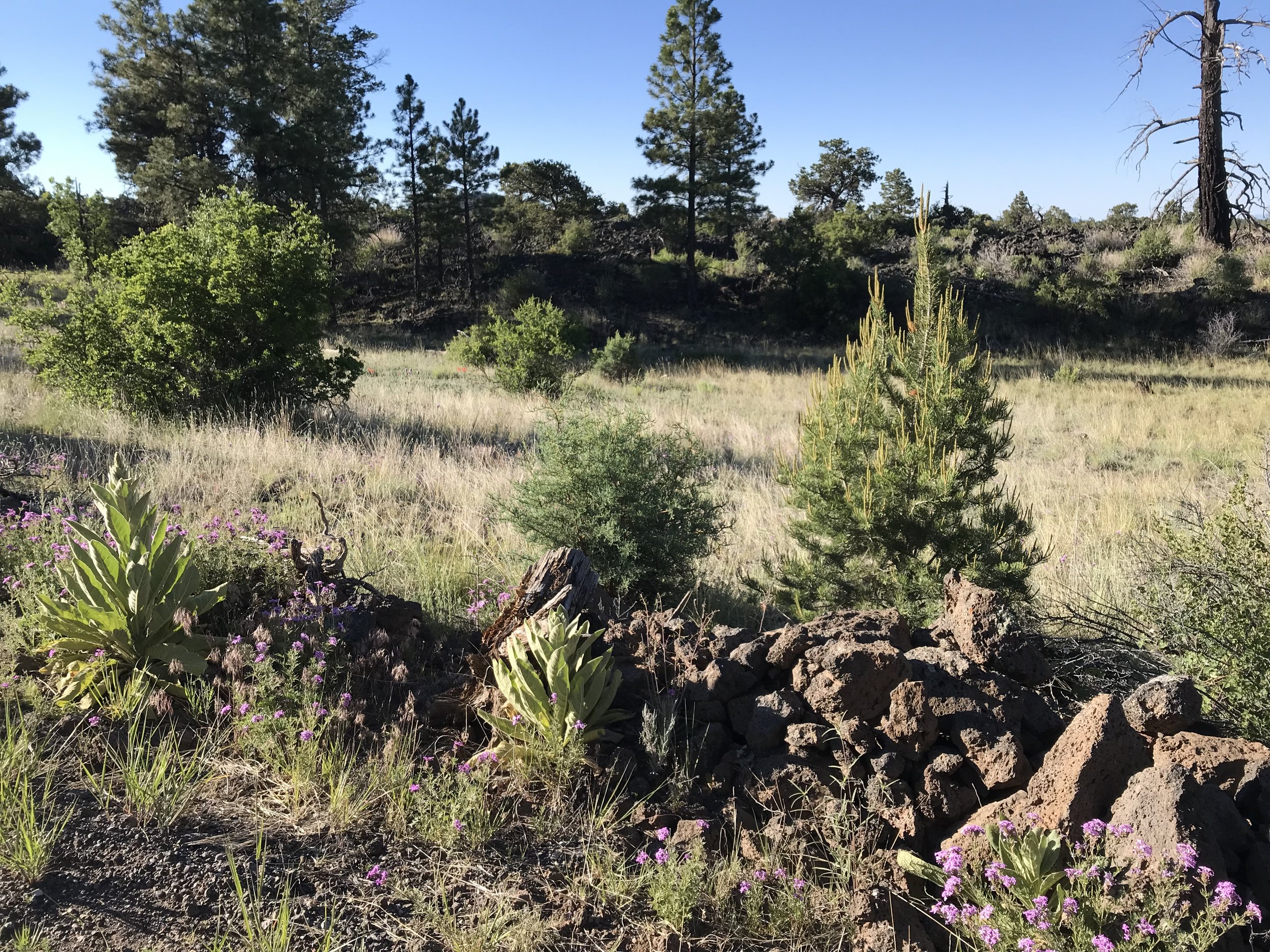 6:24:19_0184.jpg