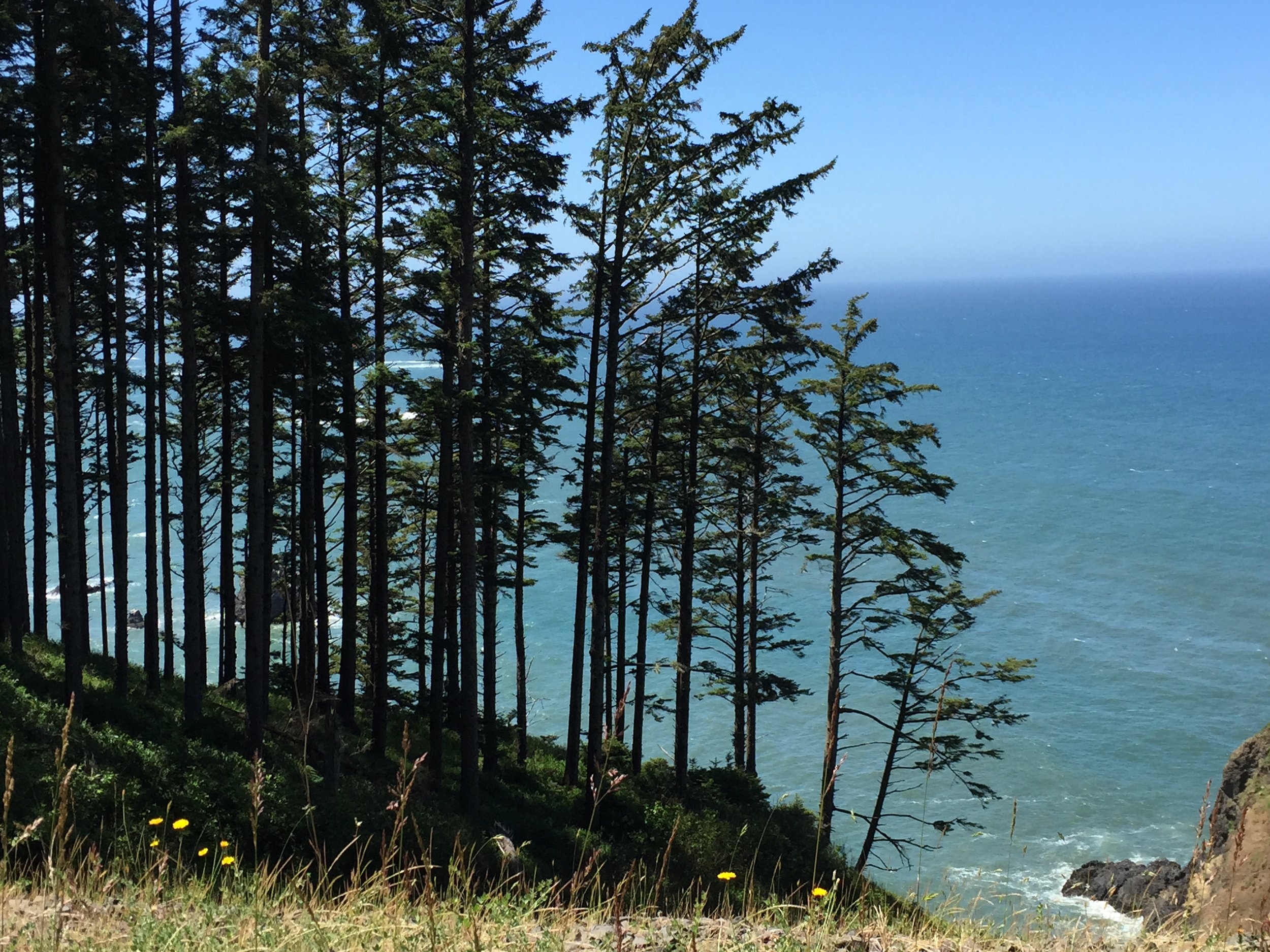 6:12:15_3415.JPG