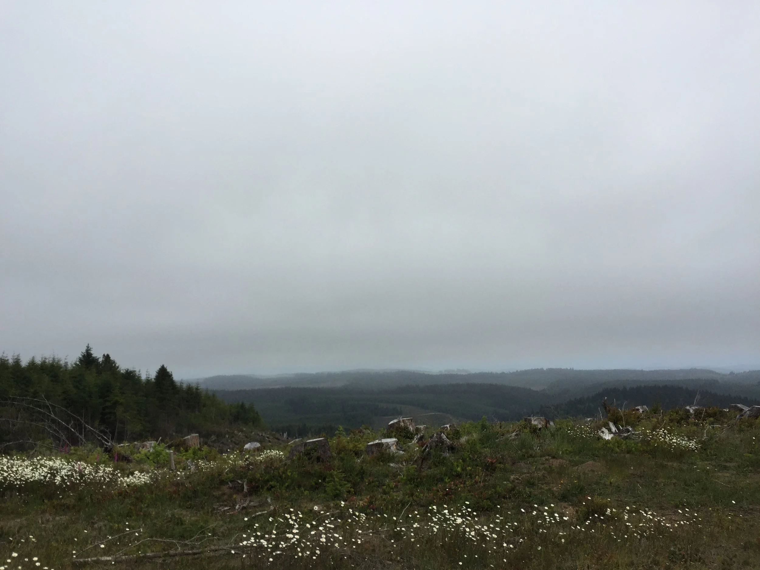 6:14:15_3560.JPG