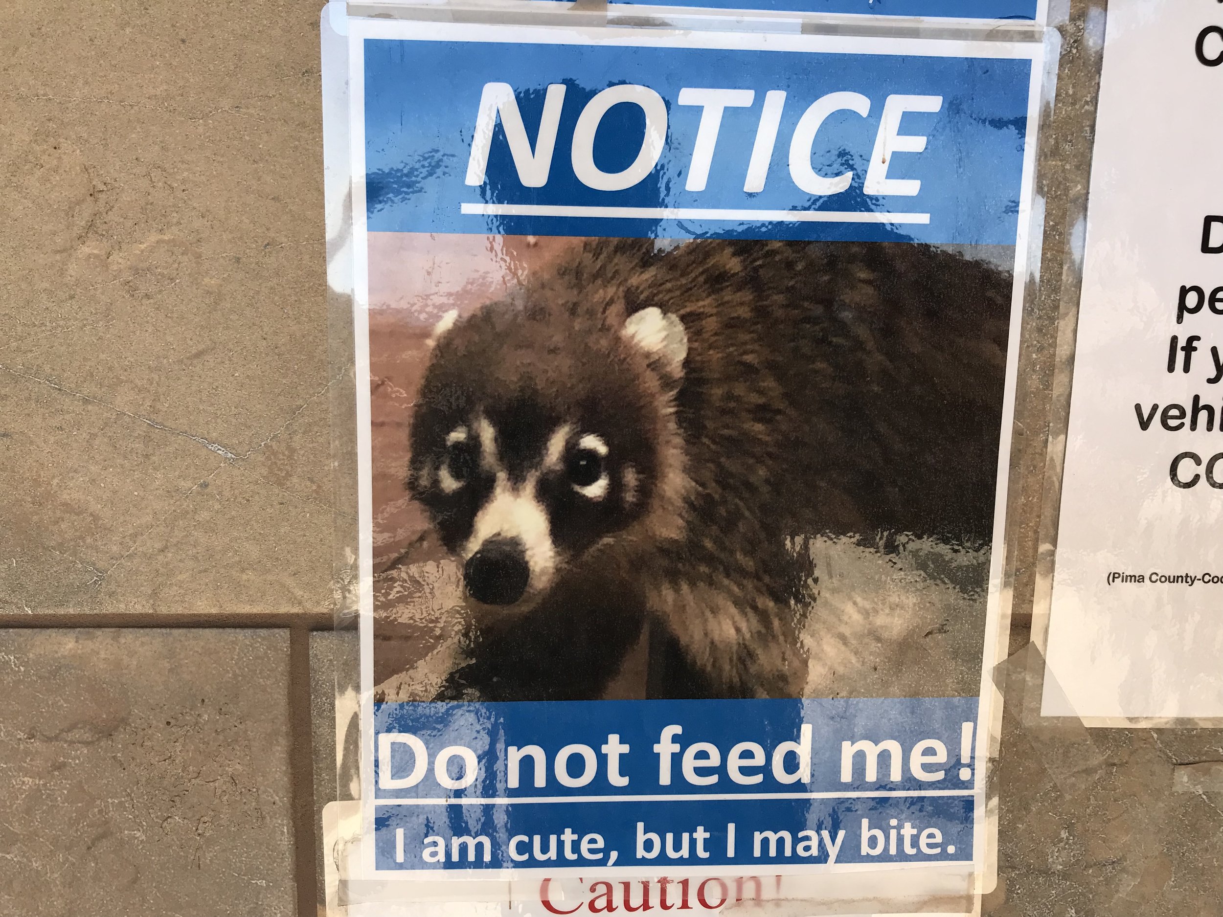 3:25:19_4710.jpg