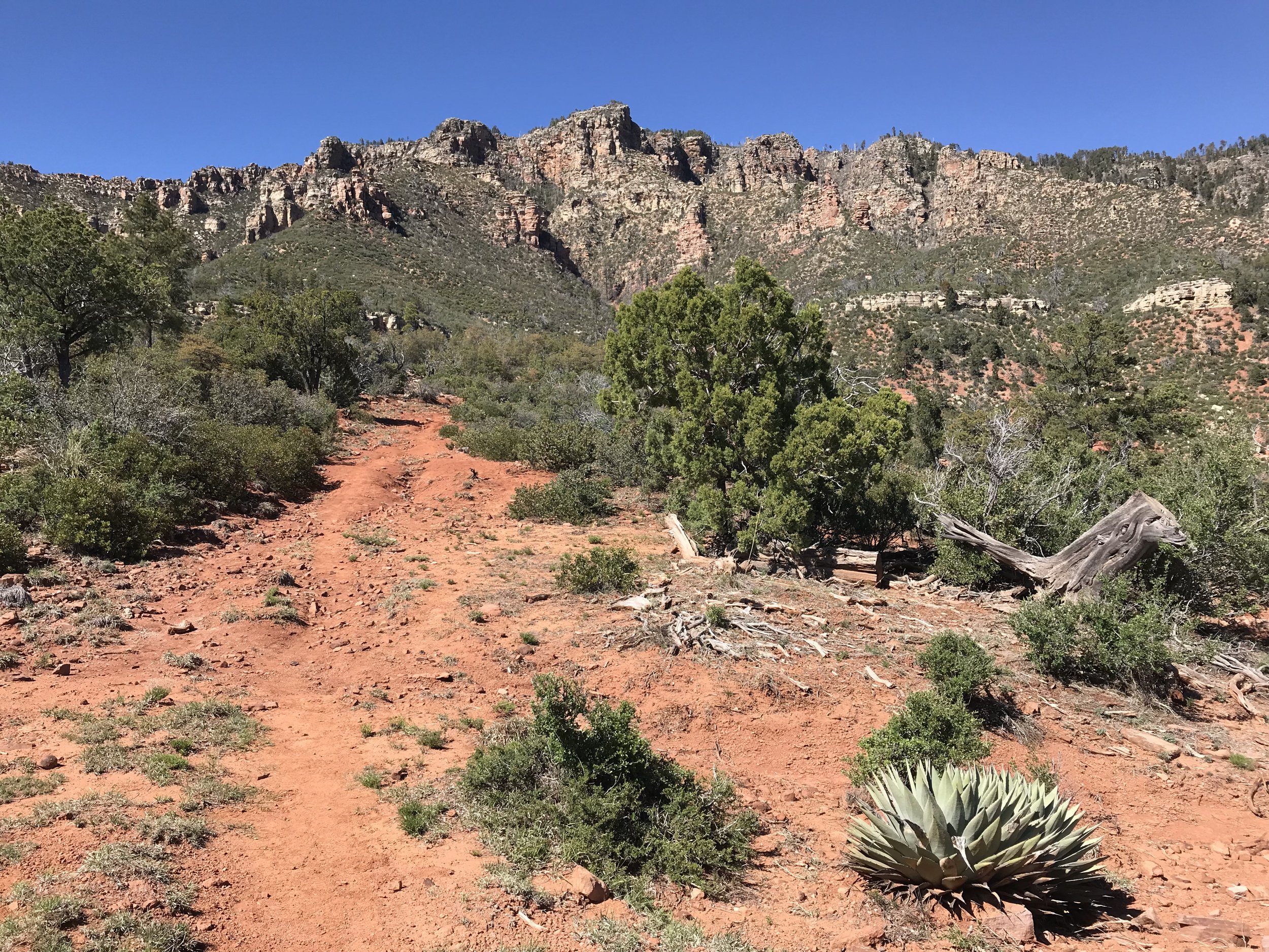 Arizona Trail - Day 37 - The Highline Trail at Washington Park