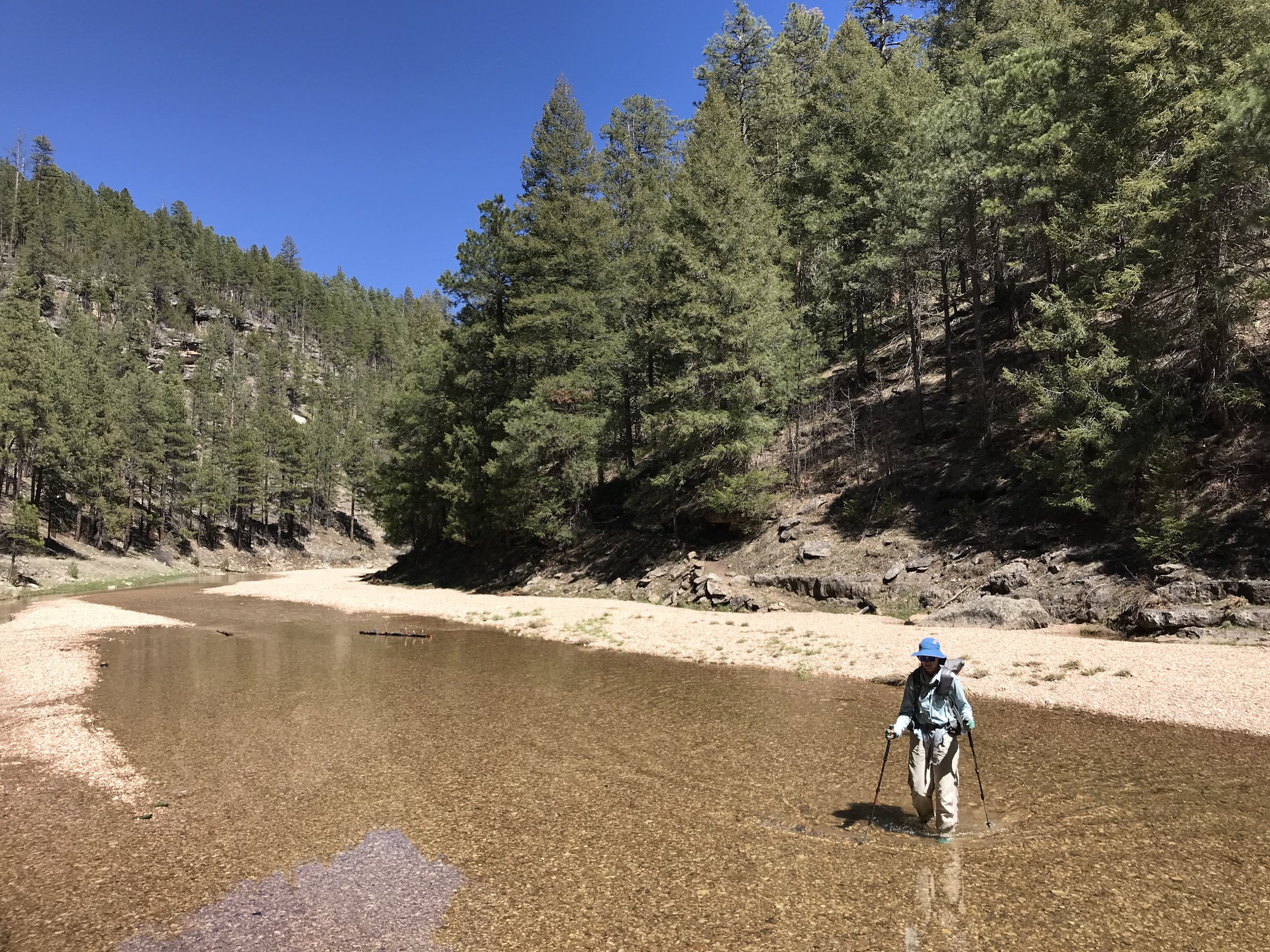 Arizona Trail - Day 38 - Jack’s Canyon above the Mogollon Rim