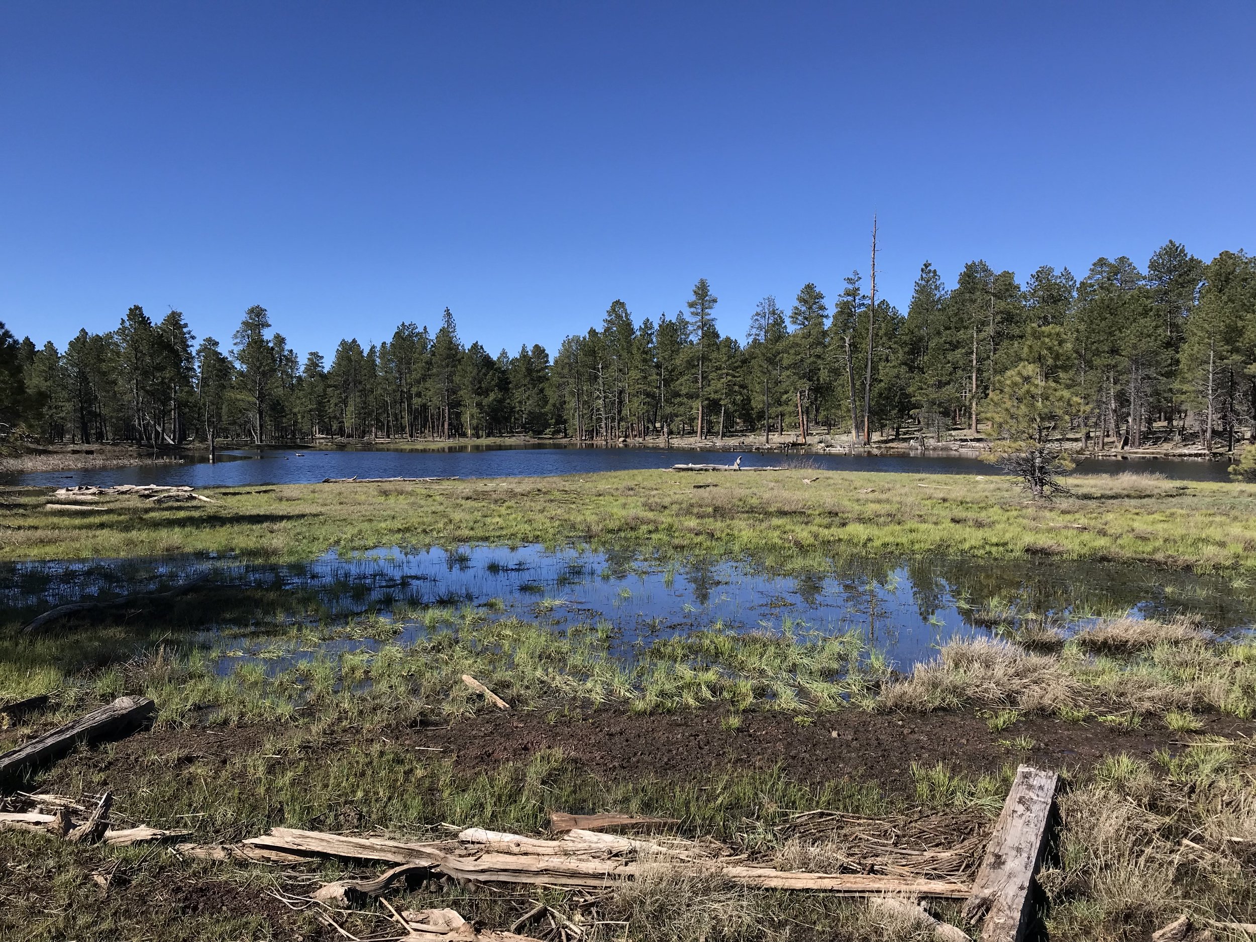 Arizona Trail - Day 40 - Mormon Lake and Mayflower Spring