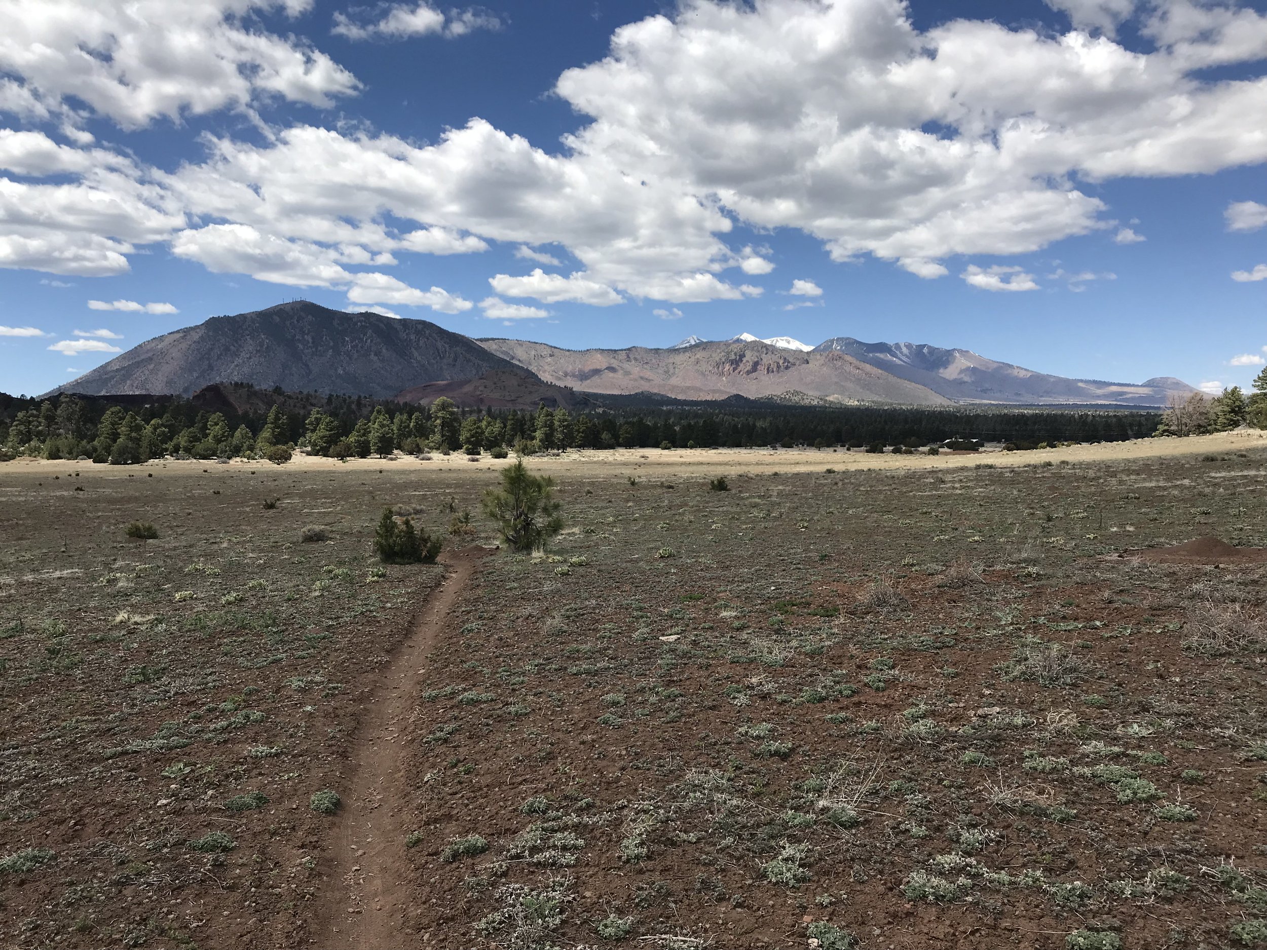 Arizona Trail - Day 42 - Flagstaff, AZ
