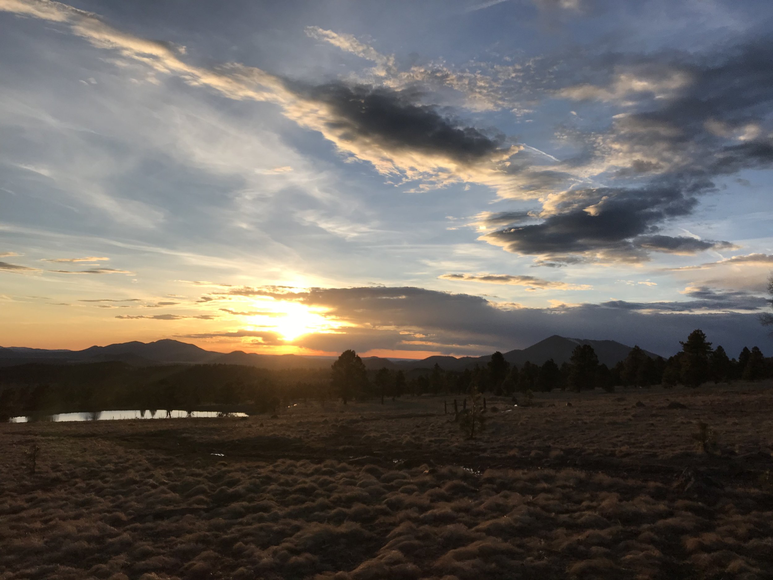 Arizona Trail - Day 43 - Alfa Fia Tank up in the San Francisco Peaks