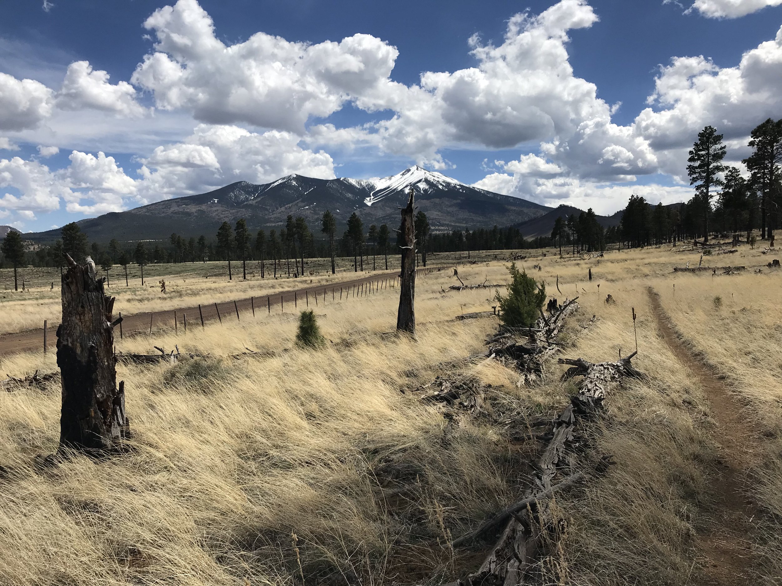 Arizona Trail - Day 44 - East Cedar Tank on Babbitt Ranch