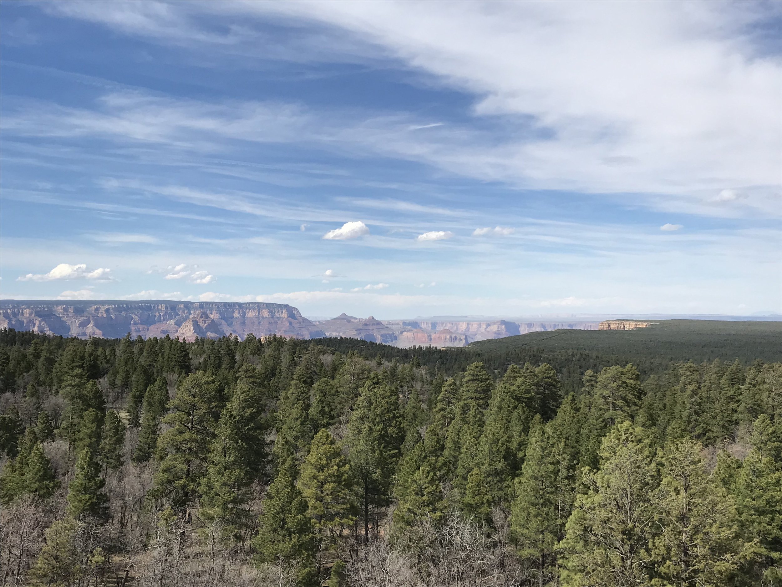 Arizona Trail - Day 46 - Somewhere past Ten X Tank outside Tusayan