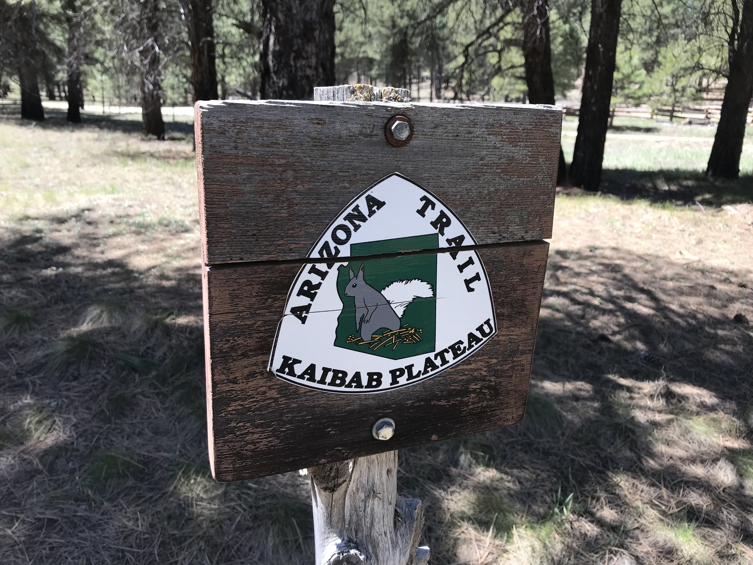 Arizona Trail - Day 50 - Jacob Lake, AZ