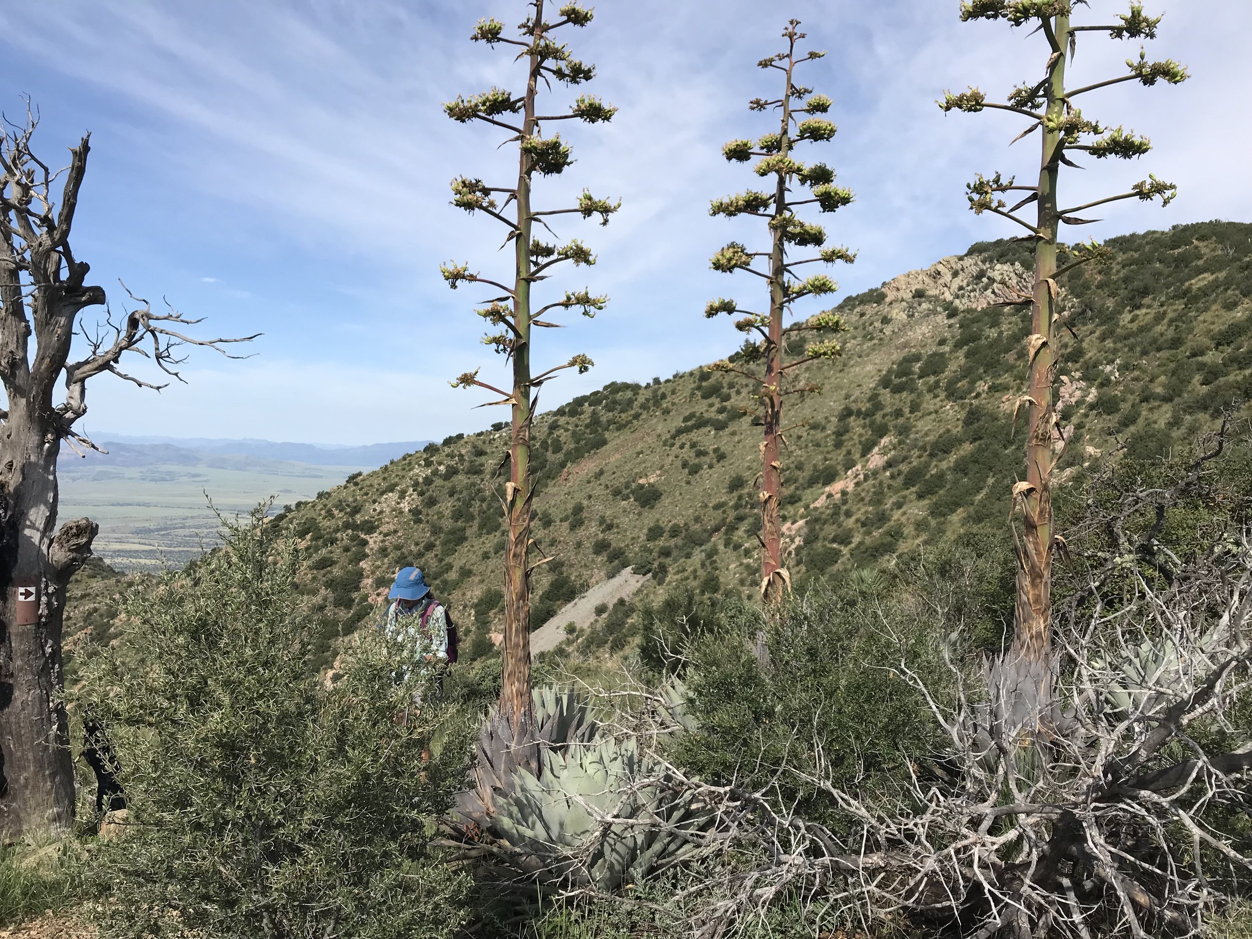 8:31:19_0719.jpg