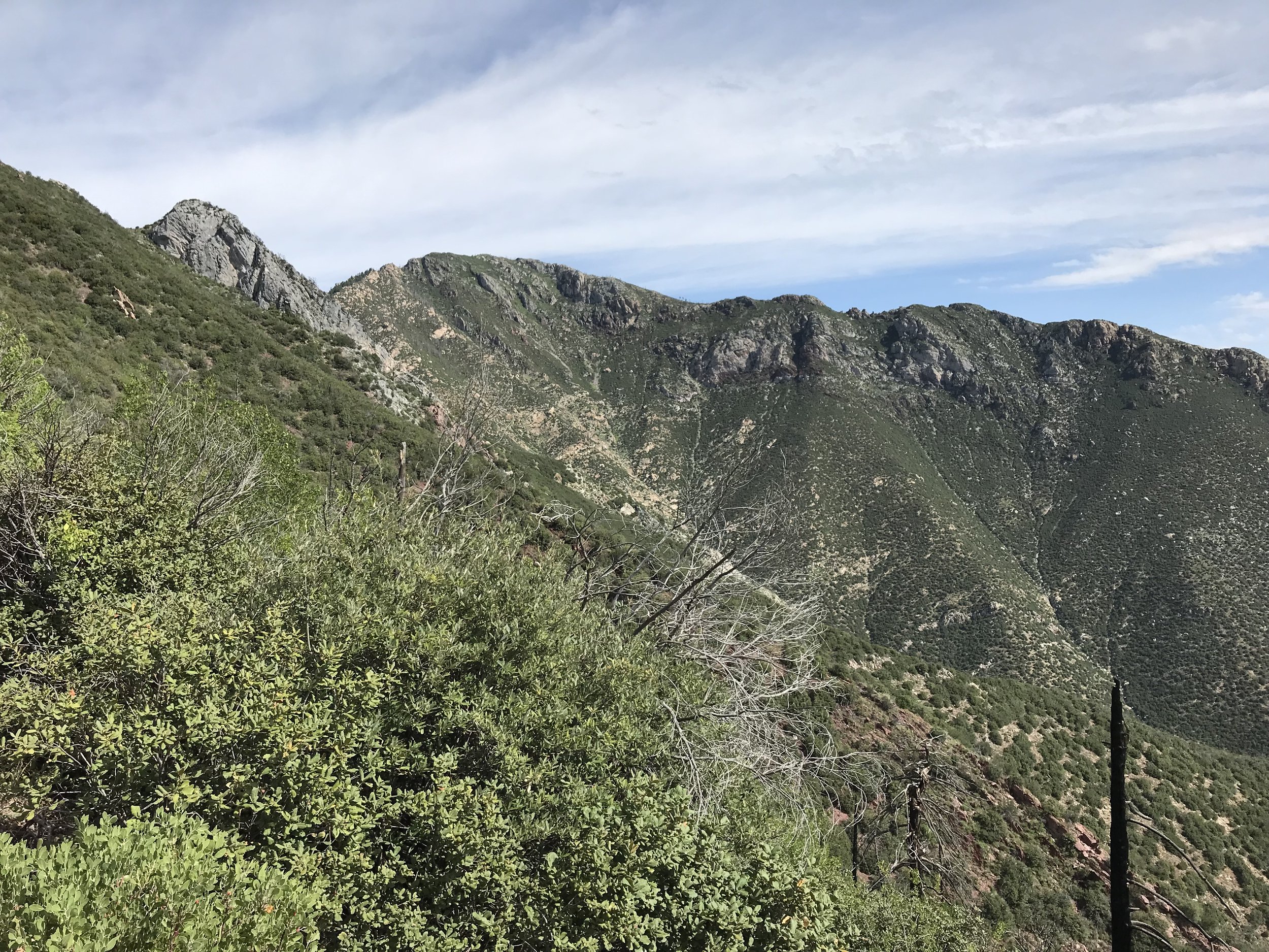 8:31:19_0730.jpg