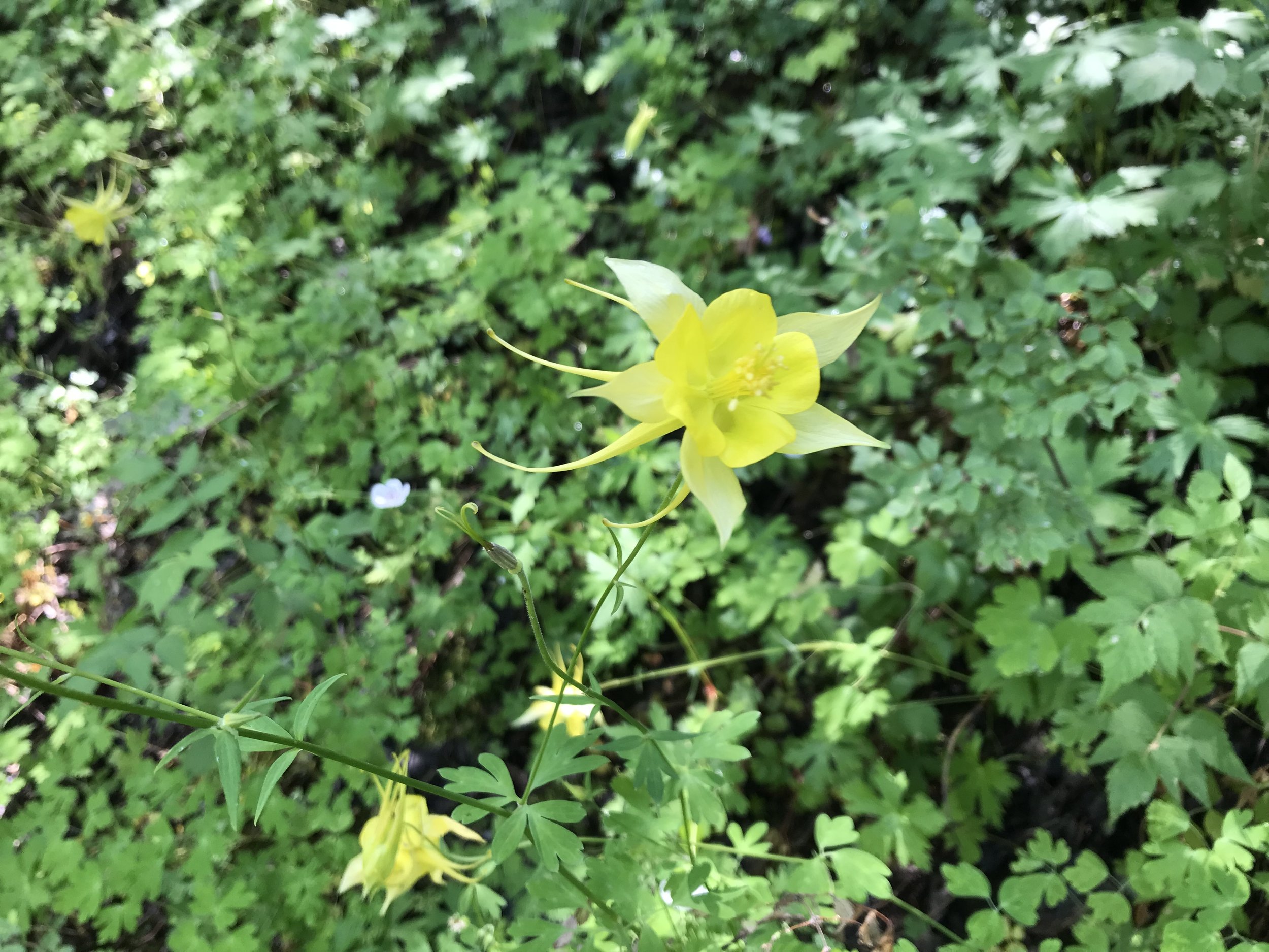 8:31:19_0769.jpg