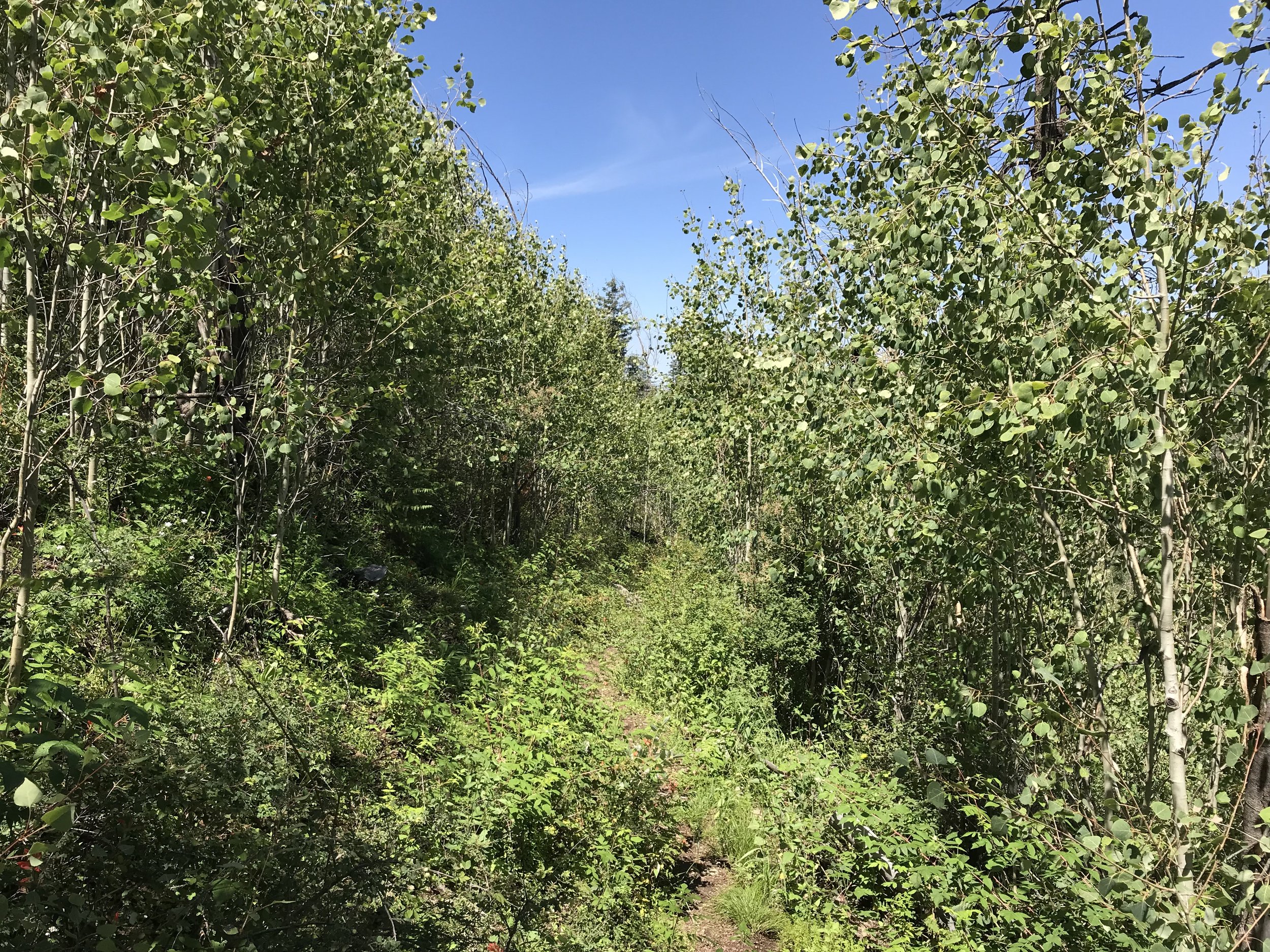 8:31:19_0770.jpg