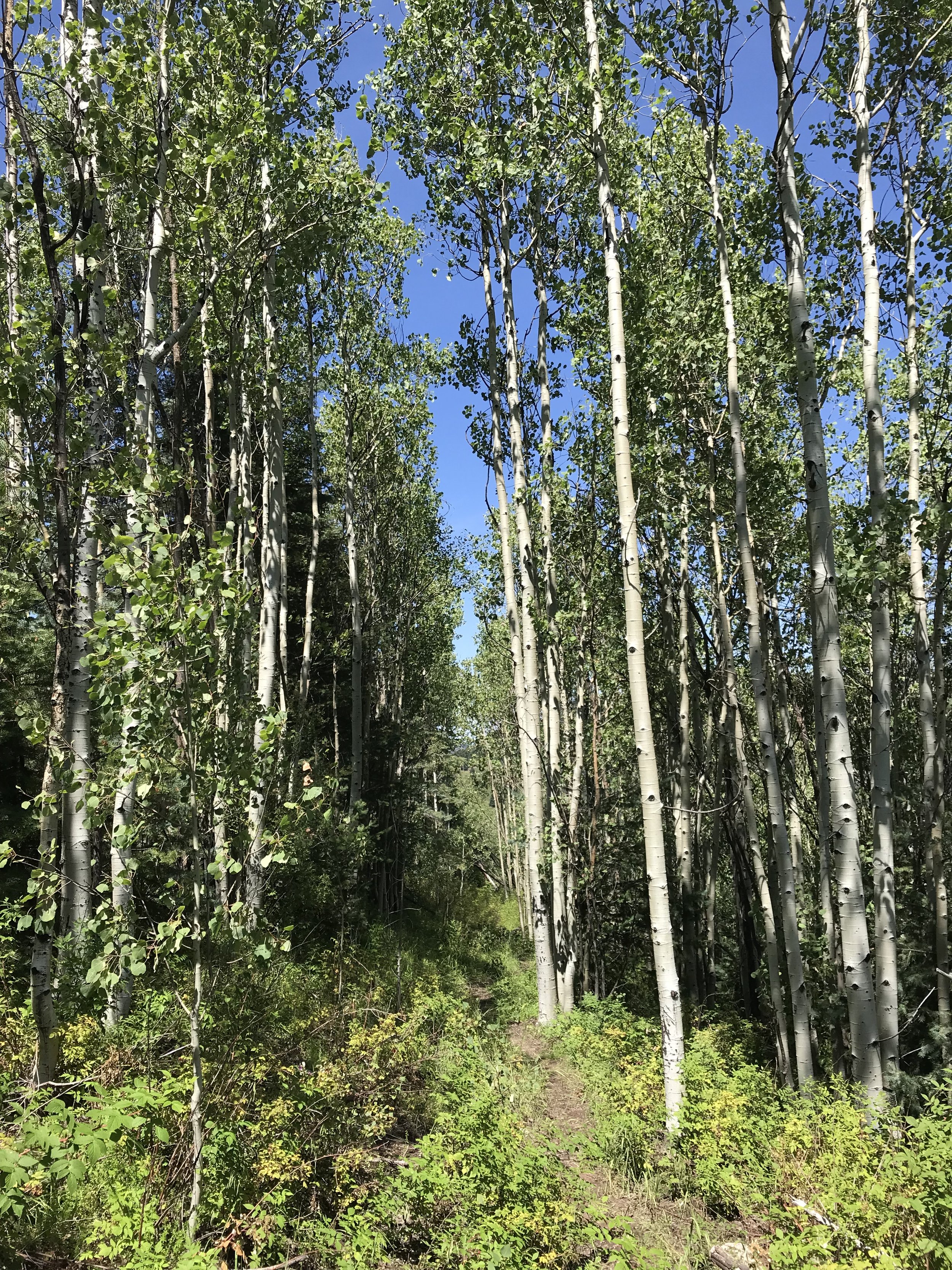 8:31:19_0771.jpg