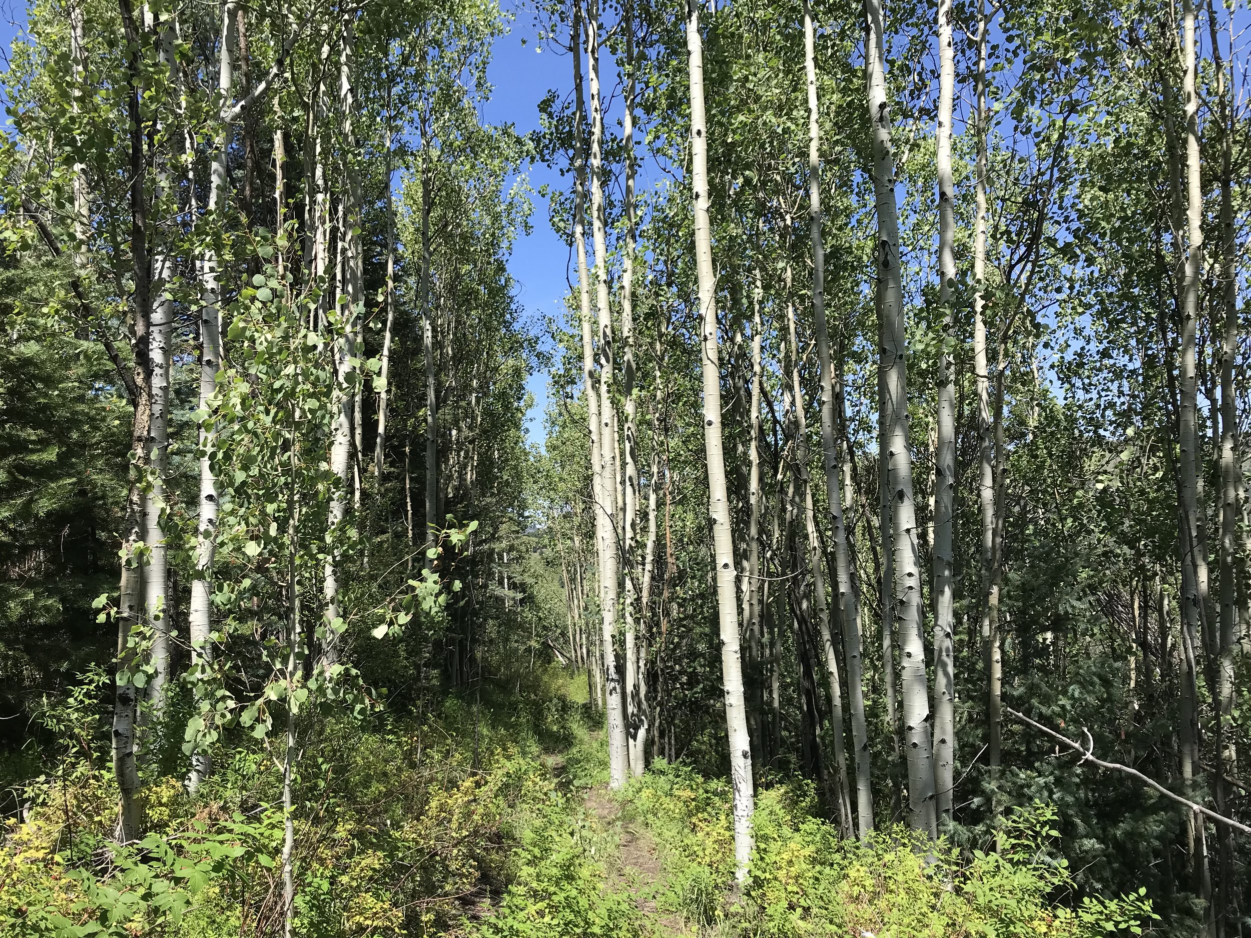 8:31:19_0772.jpg