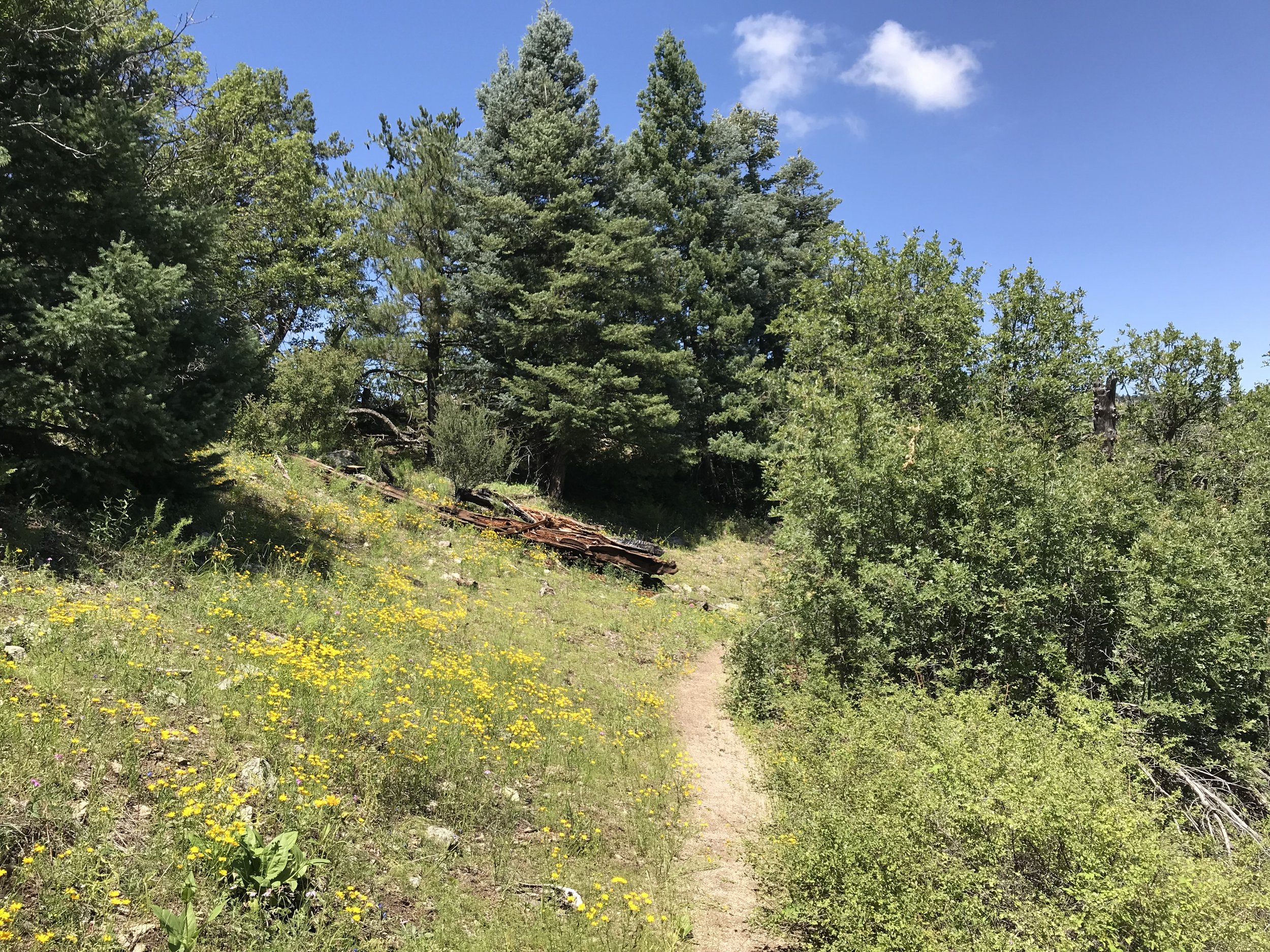 8:31:19_0777.jpg