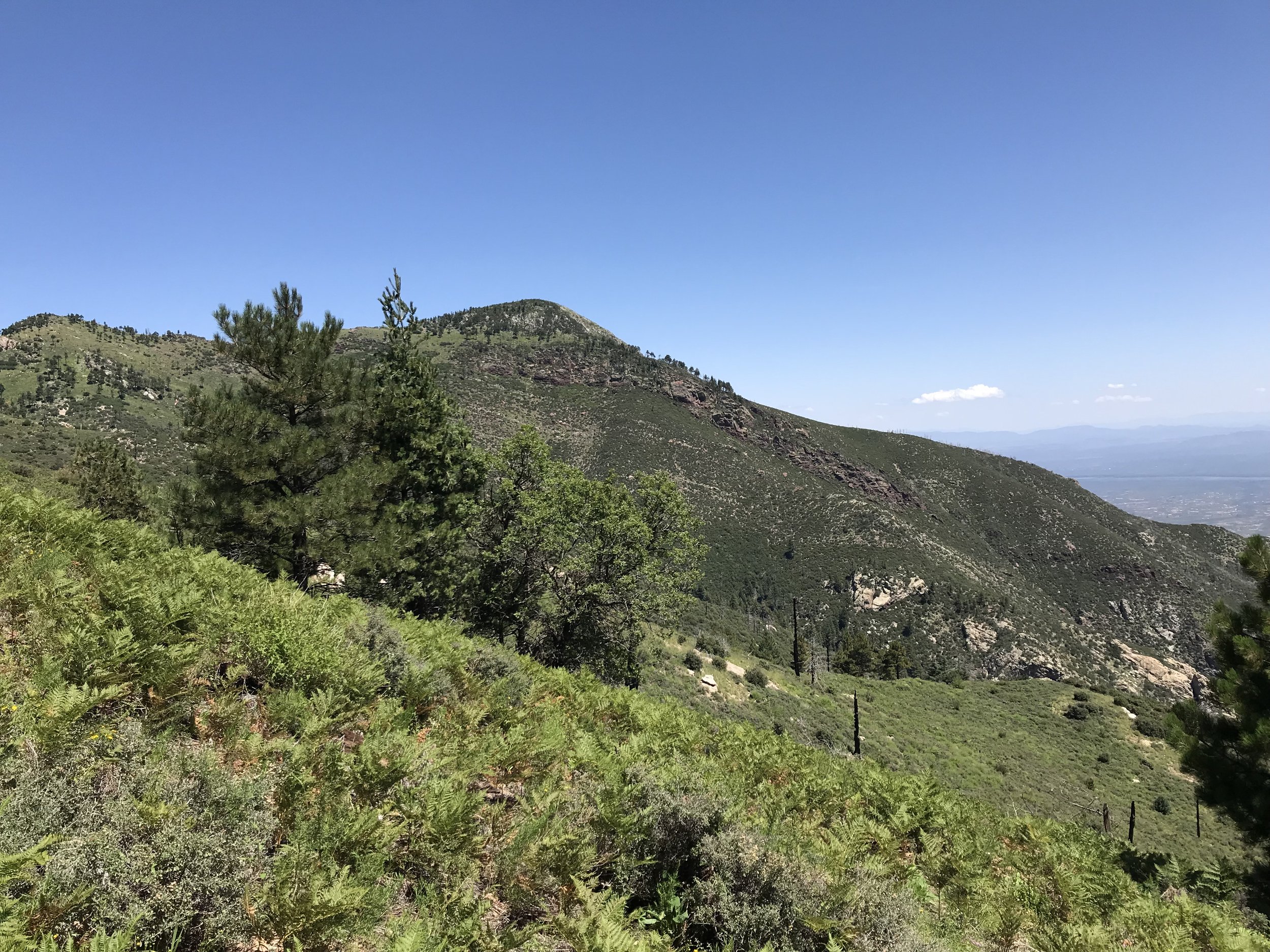 8:31:19_0780.jpg