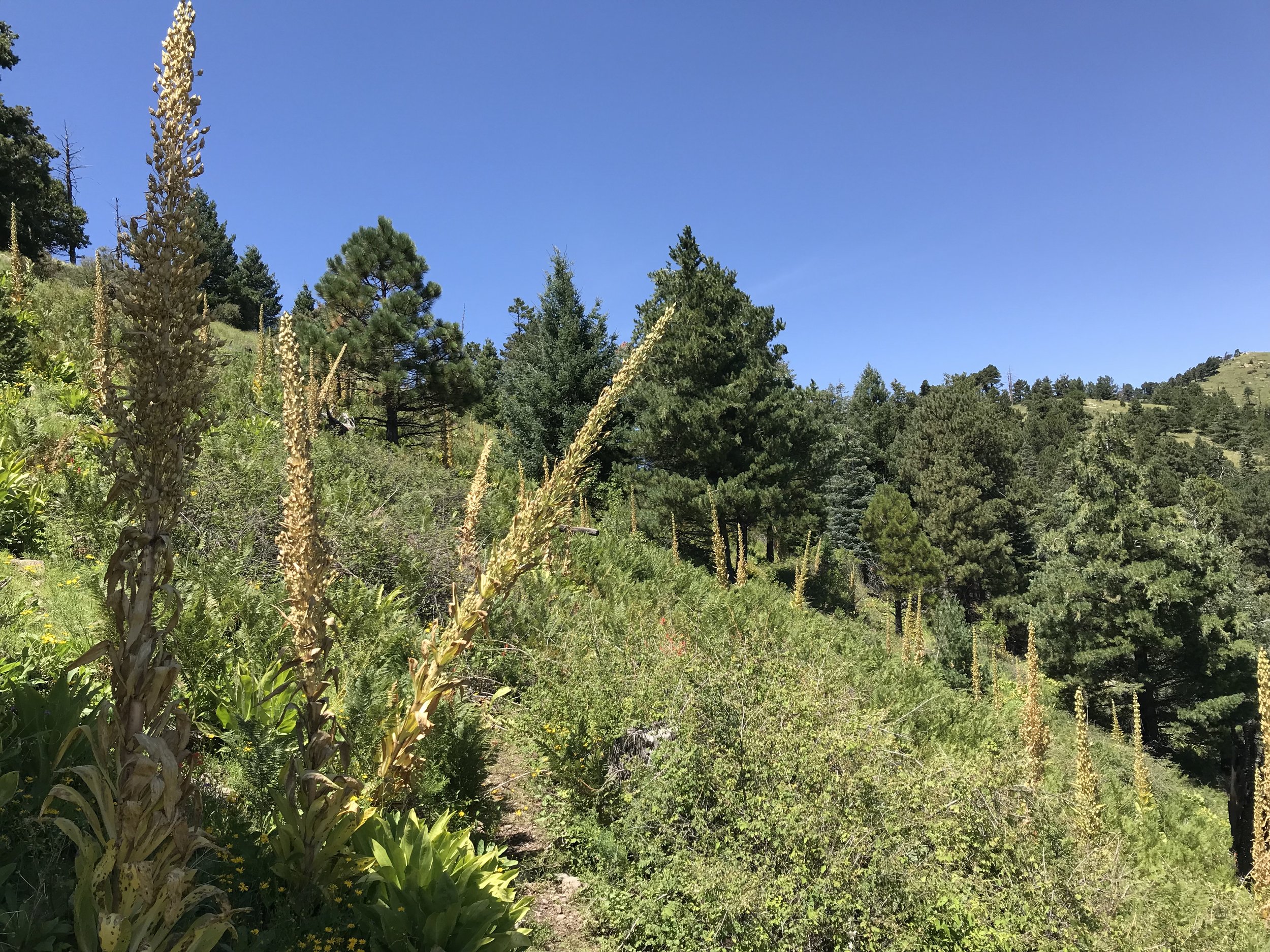 8:31:19_0785.jpg