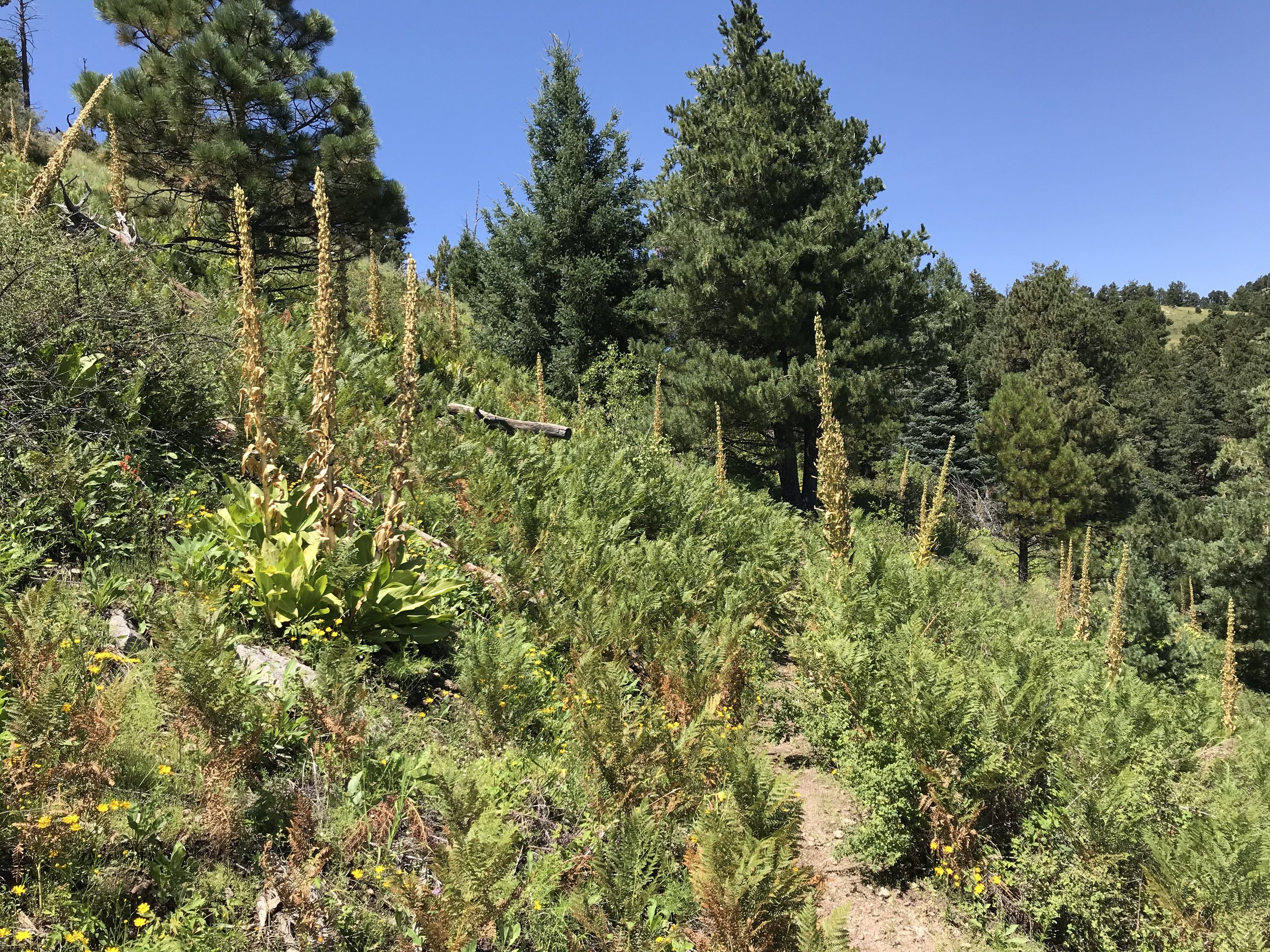 8:31:19_0786.jpg