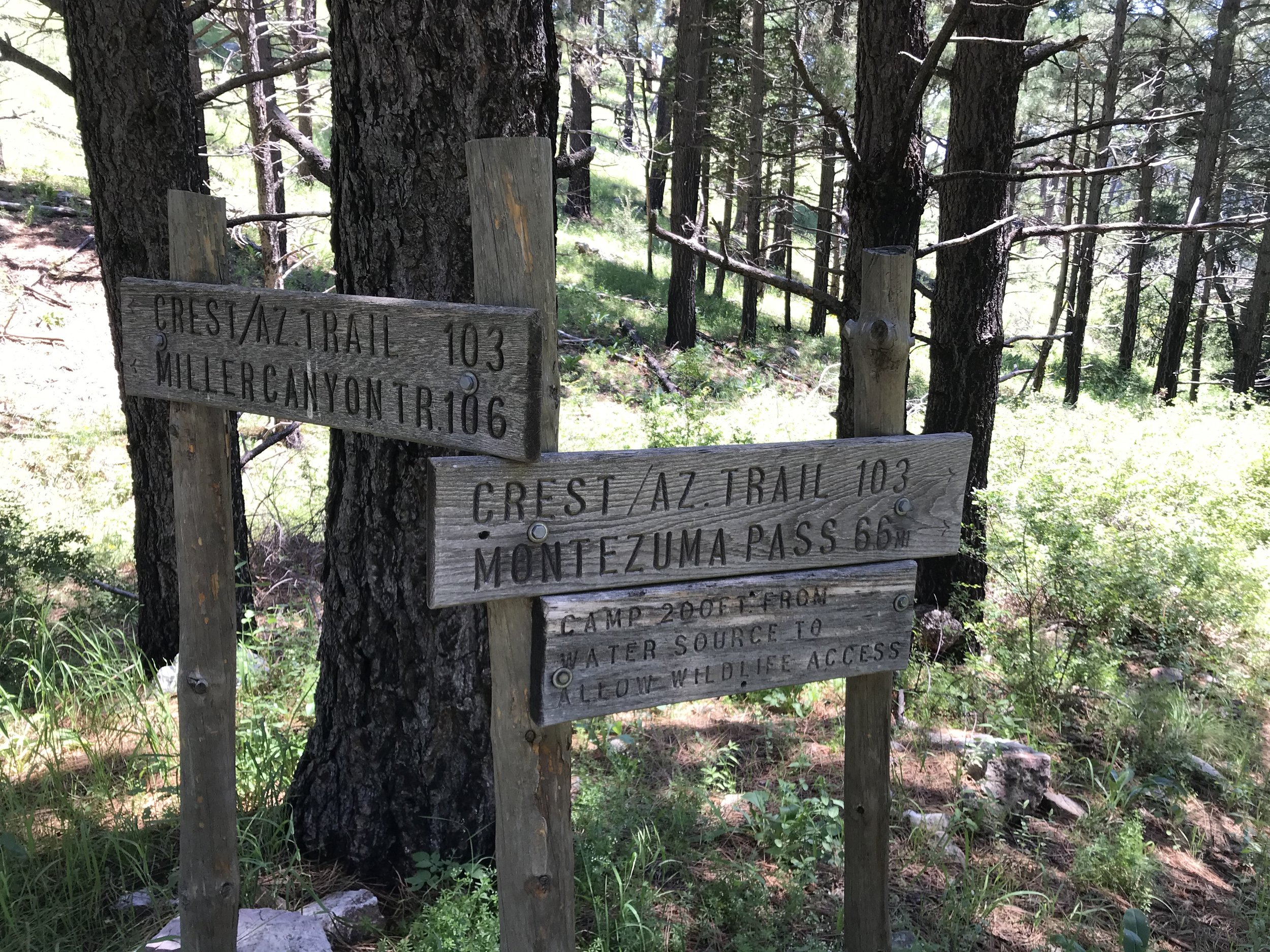 8:31:19_0790.jpg