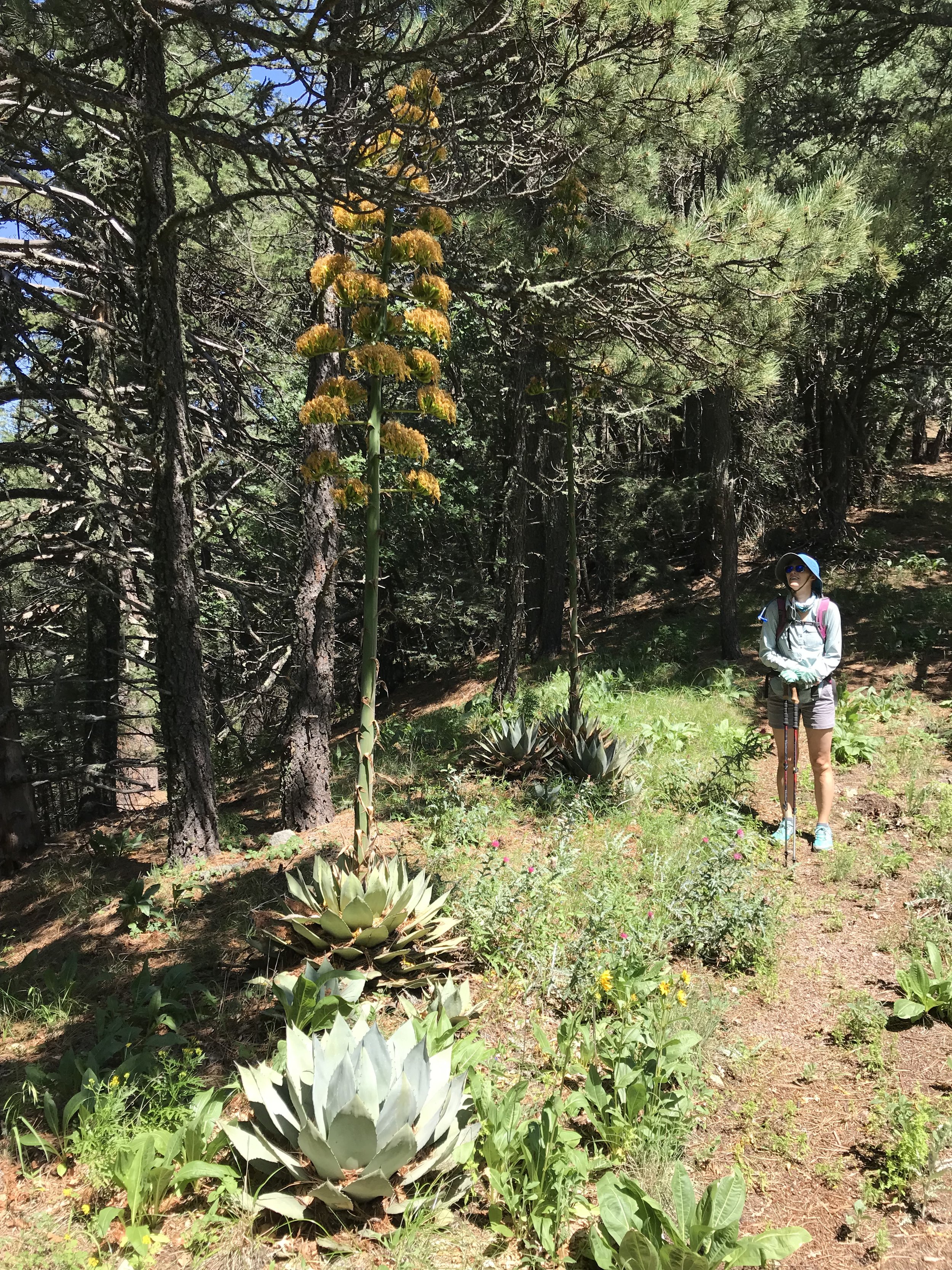 8:31:19_0819.jpg