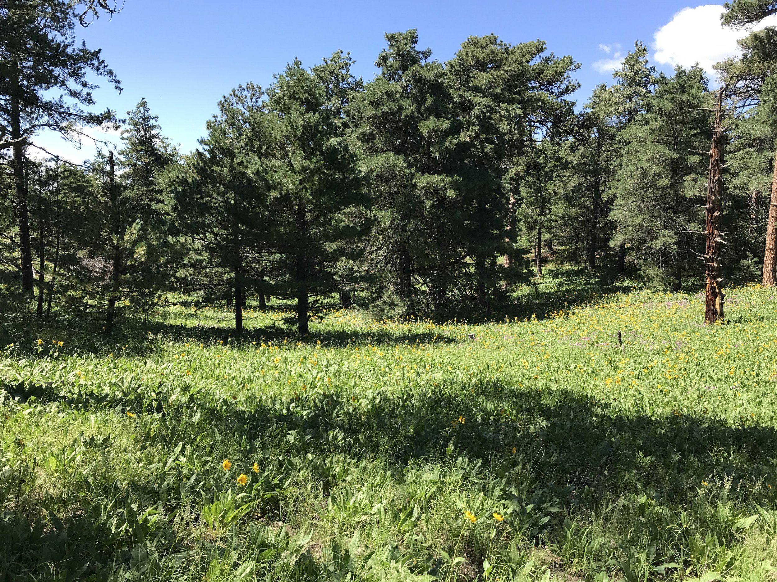 8:31:19_0828.jpg
