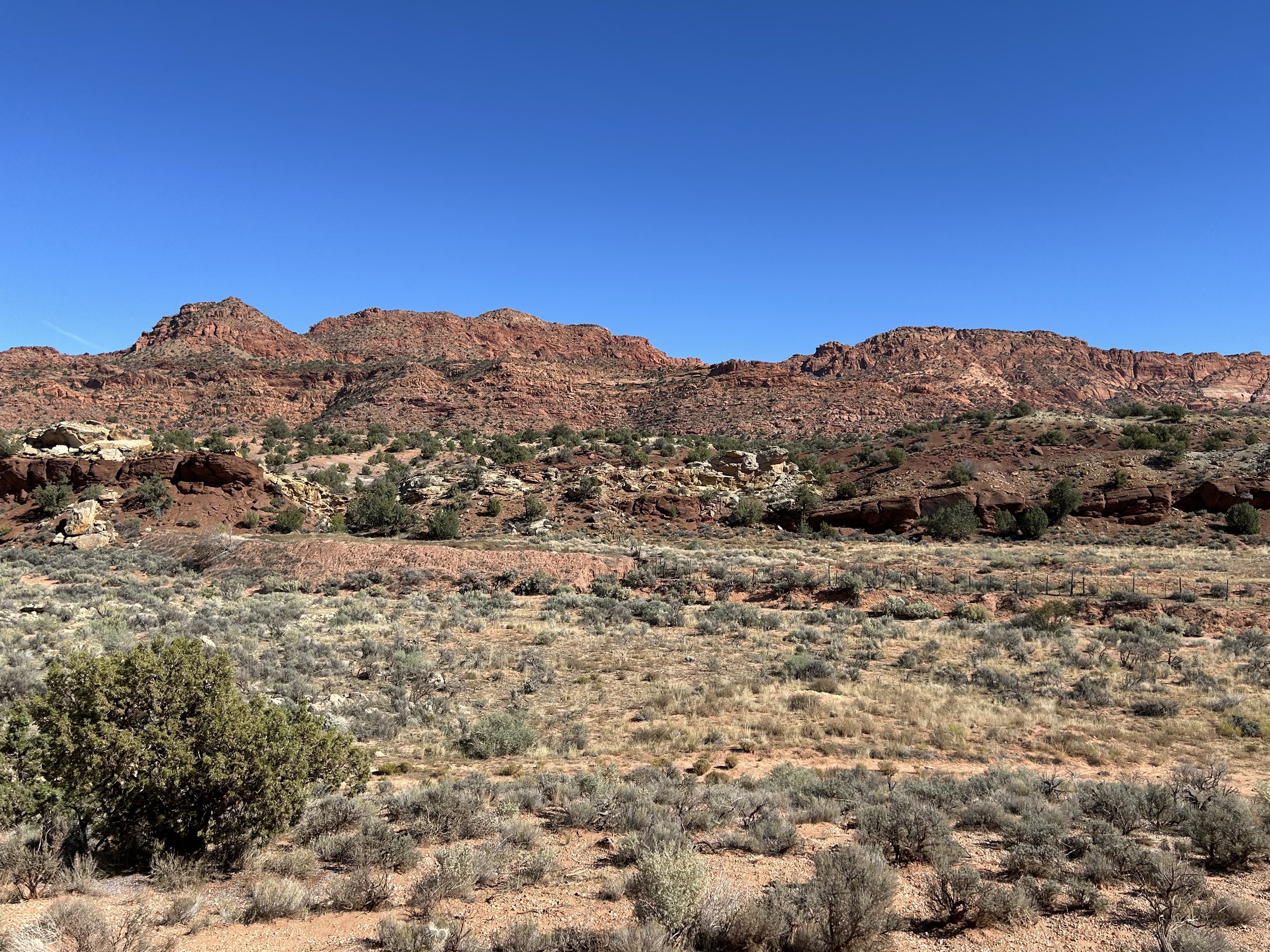 10:25:24_1163.jpg