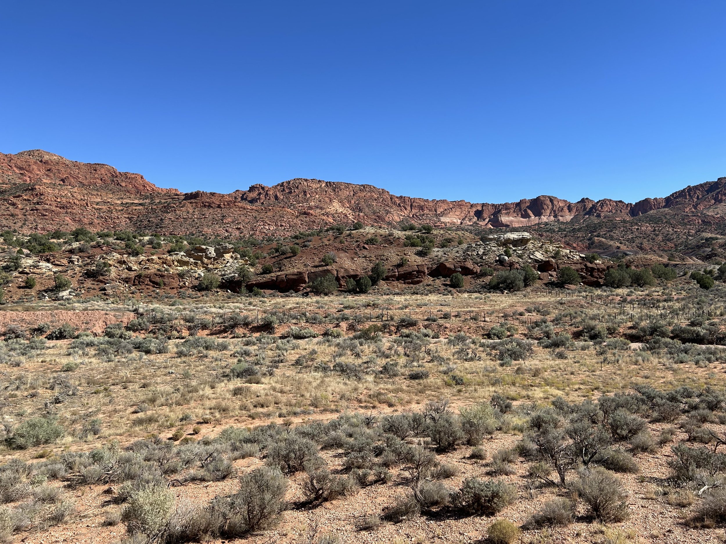 10:25:24_1164.jpg