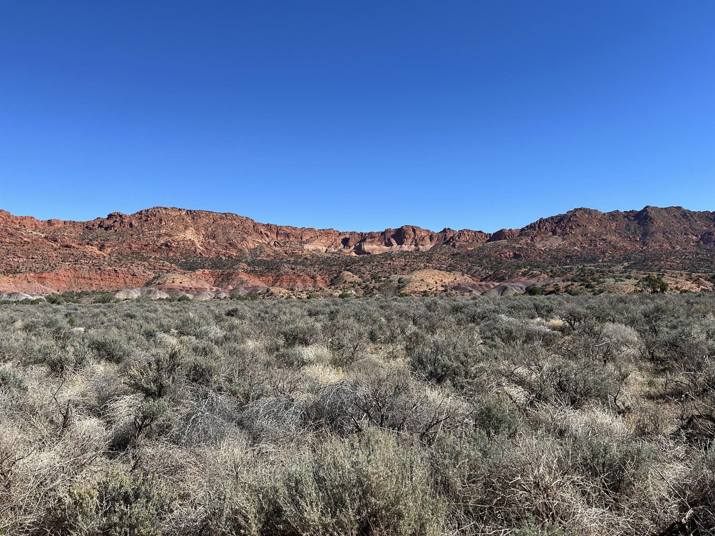 10:25:24_1183.jpg