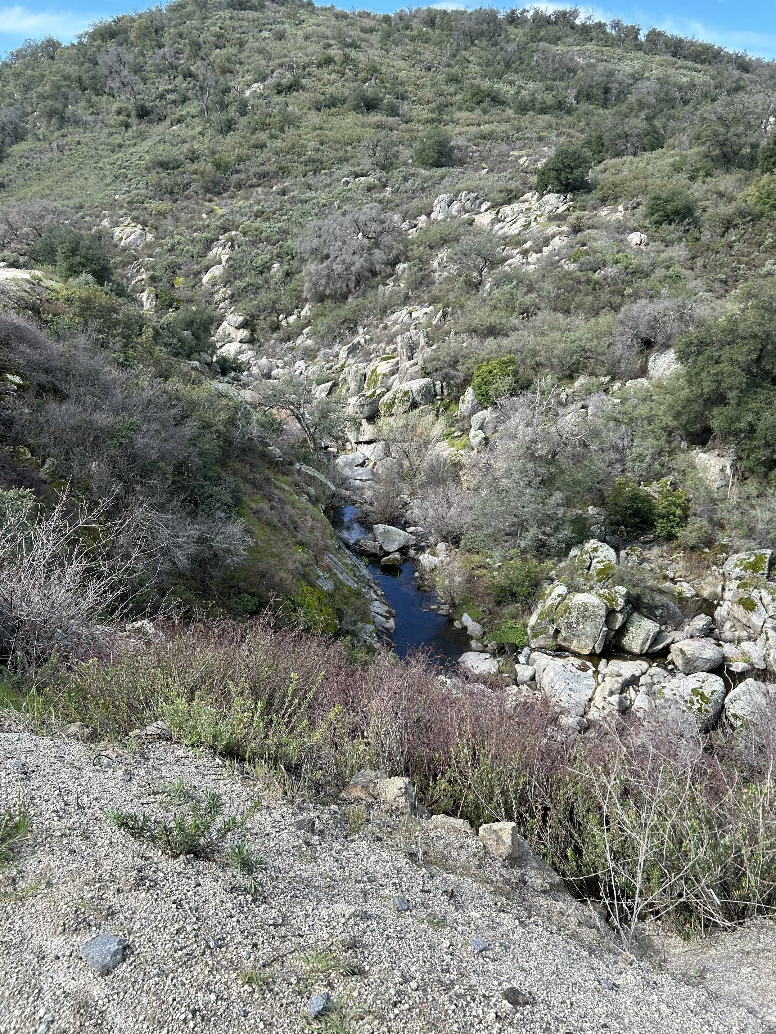 3:15:24_5968.jpg