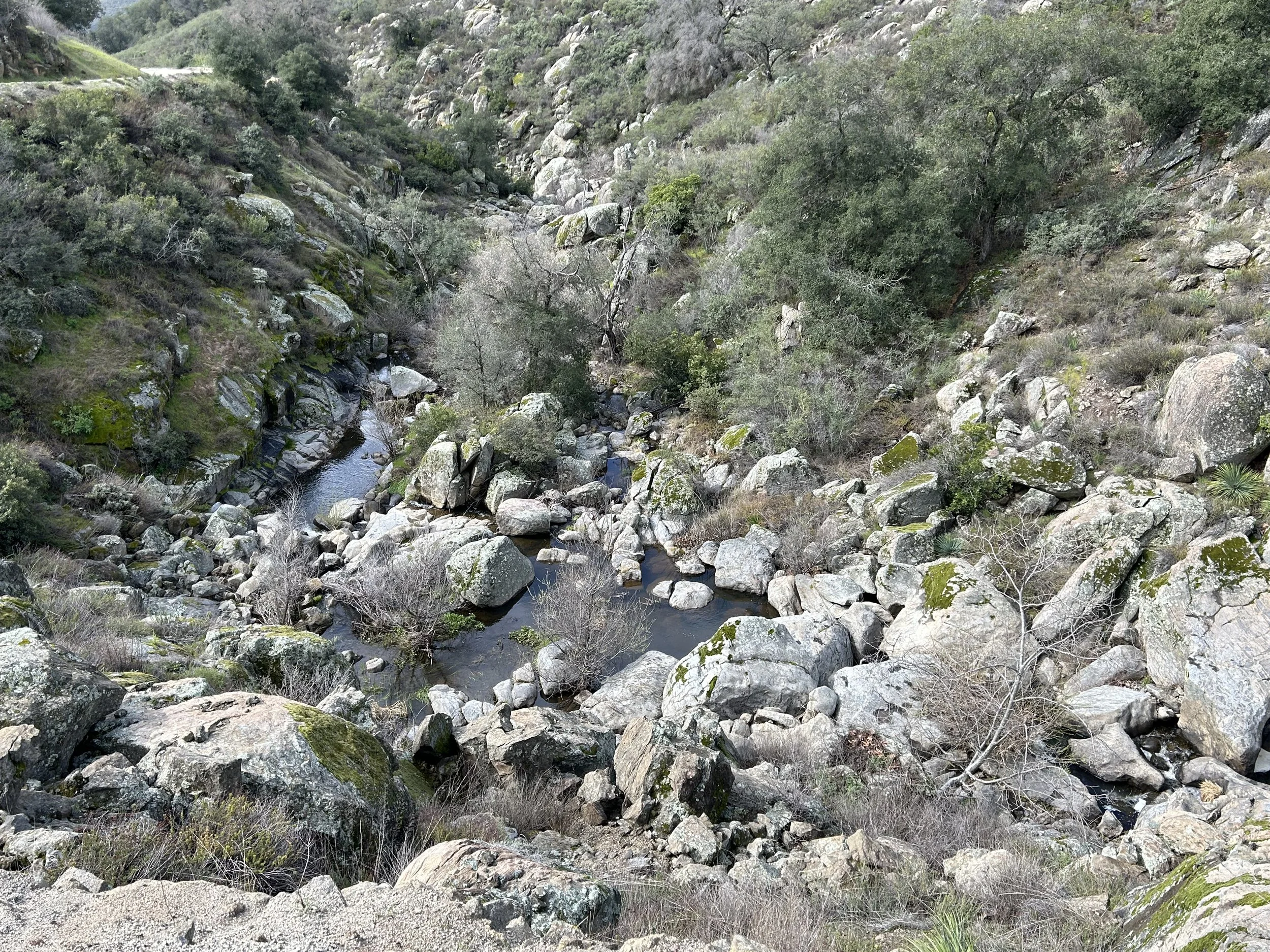 3:15:24_0633.jpg