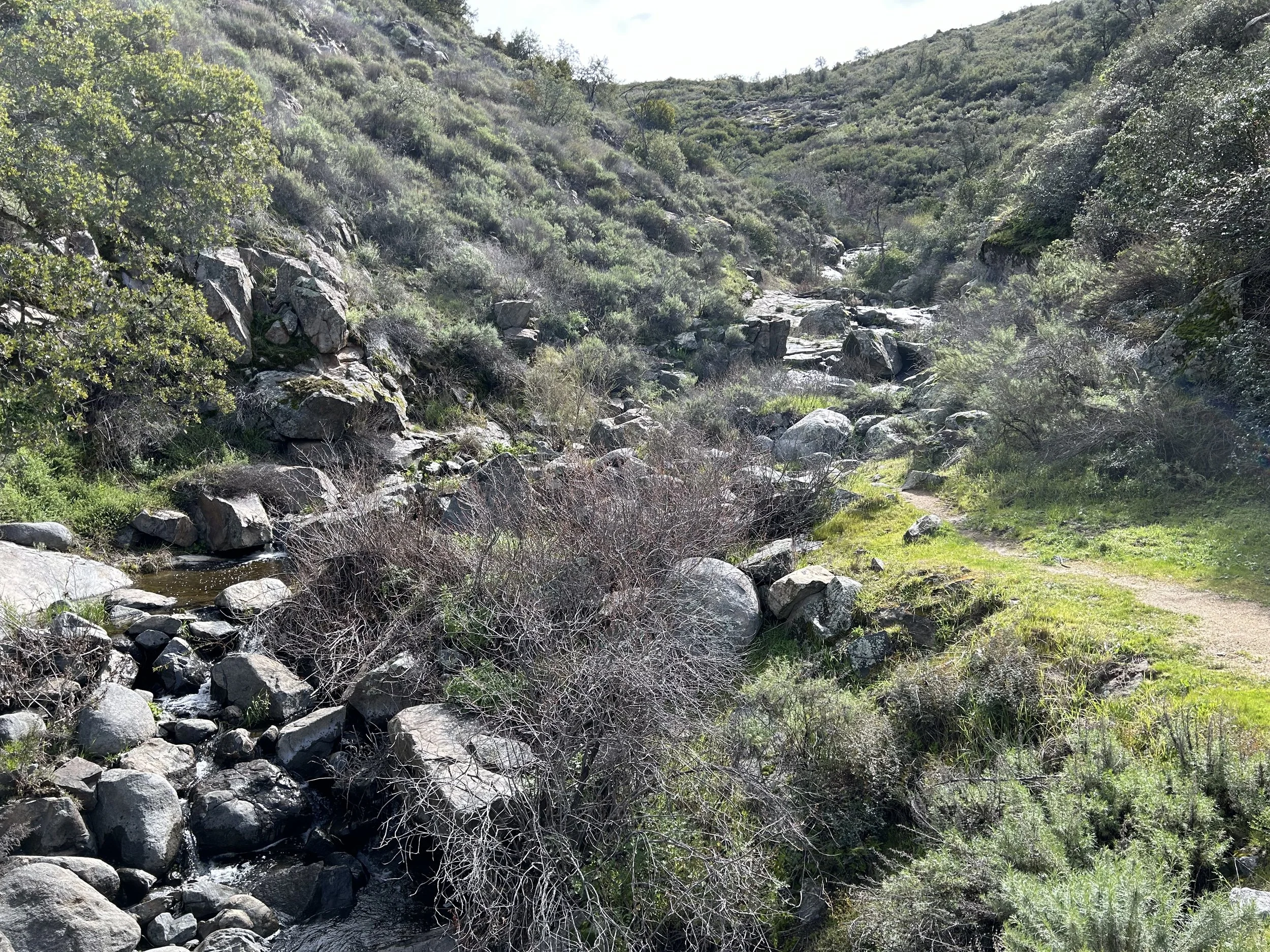 3:15:24_0646.jpg