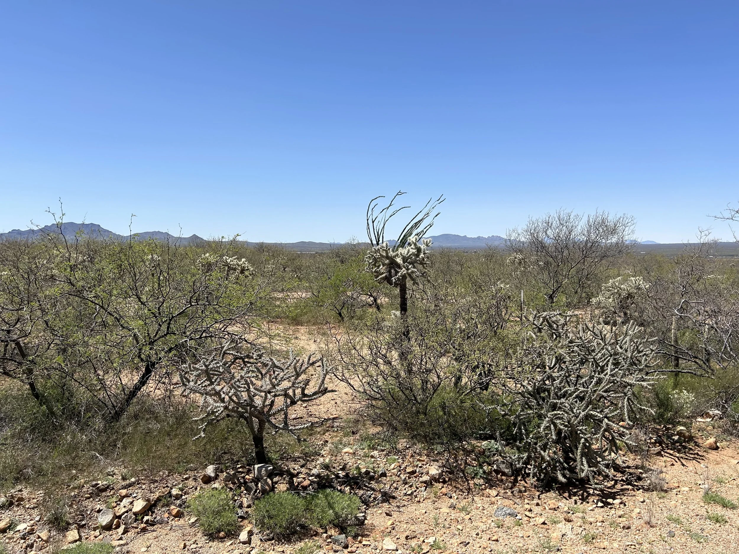 4:5:24_1159.jpg