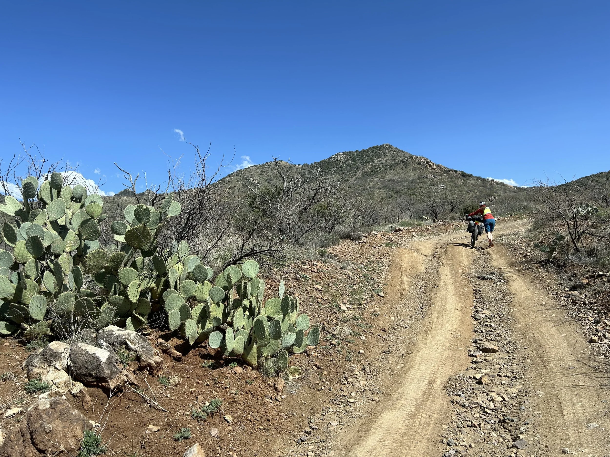 4:5:24_1229.jpg