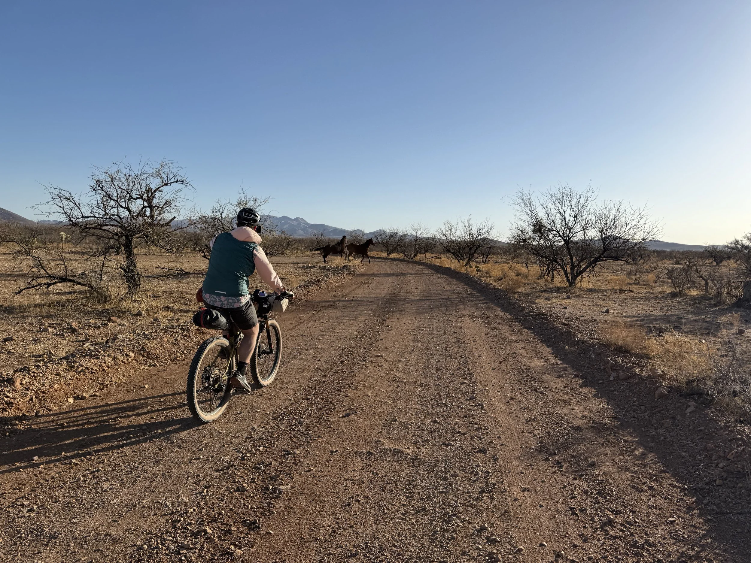 SAUER: Sonoran Ultra Endurance Ride - Day 4 - The Sierrita Mountains and Avra Valley
