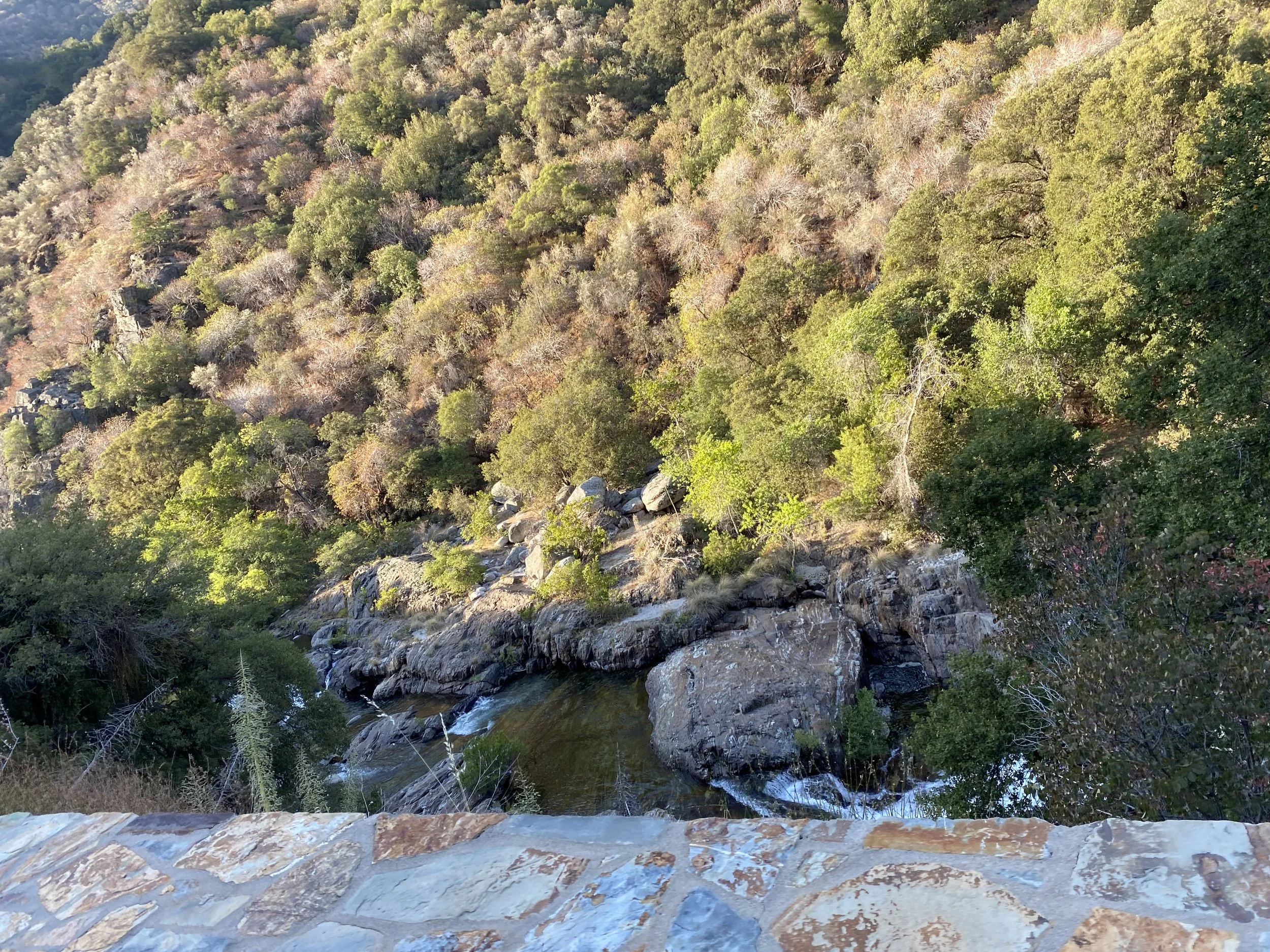 6:20:21_8055.jpg