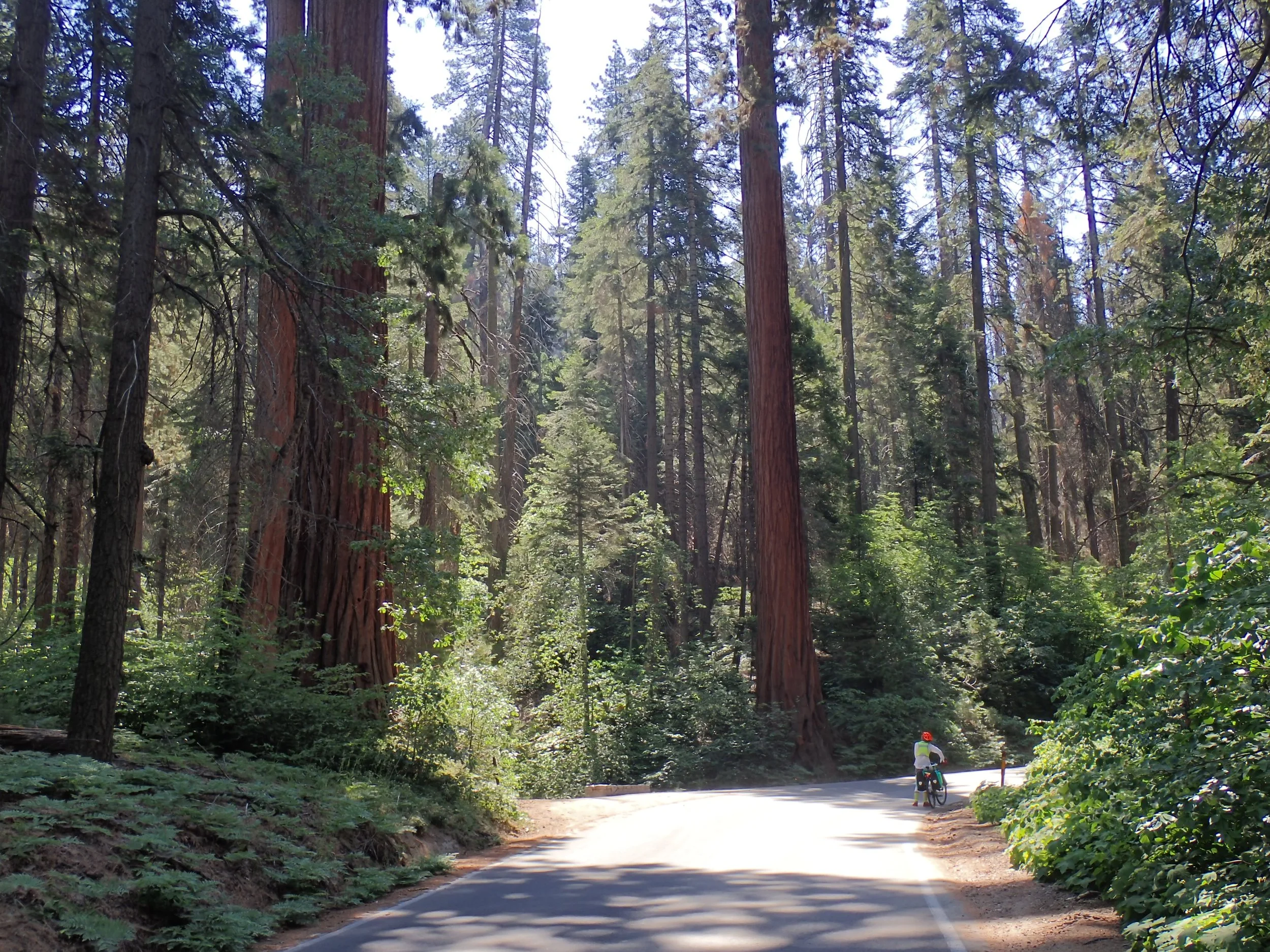 6:20:21200722.jpg