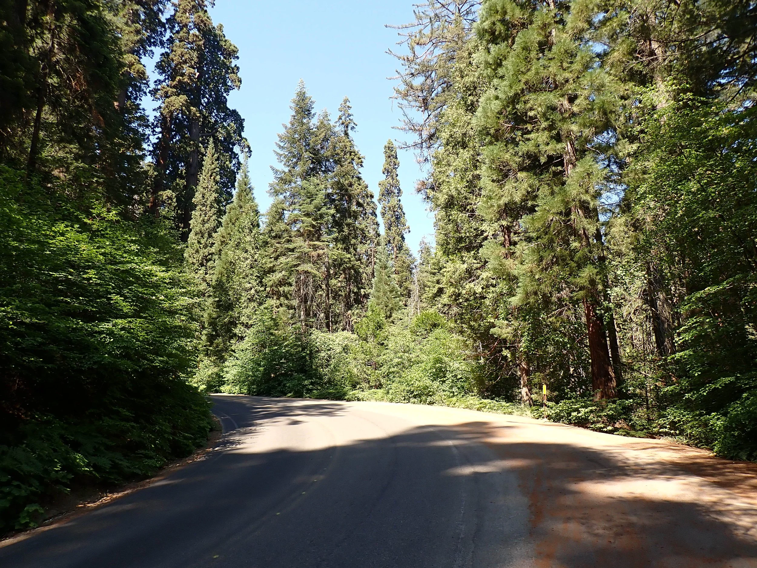 6:20:21200734.jpg