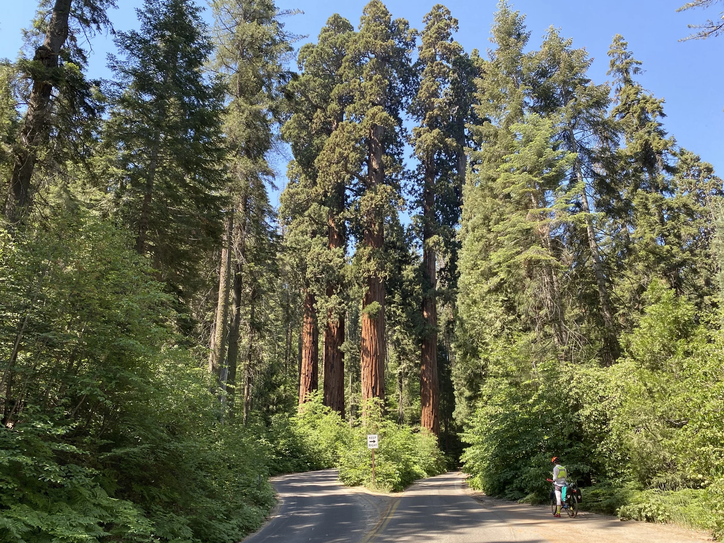 6:20:21_8086.jpg
