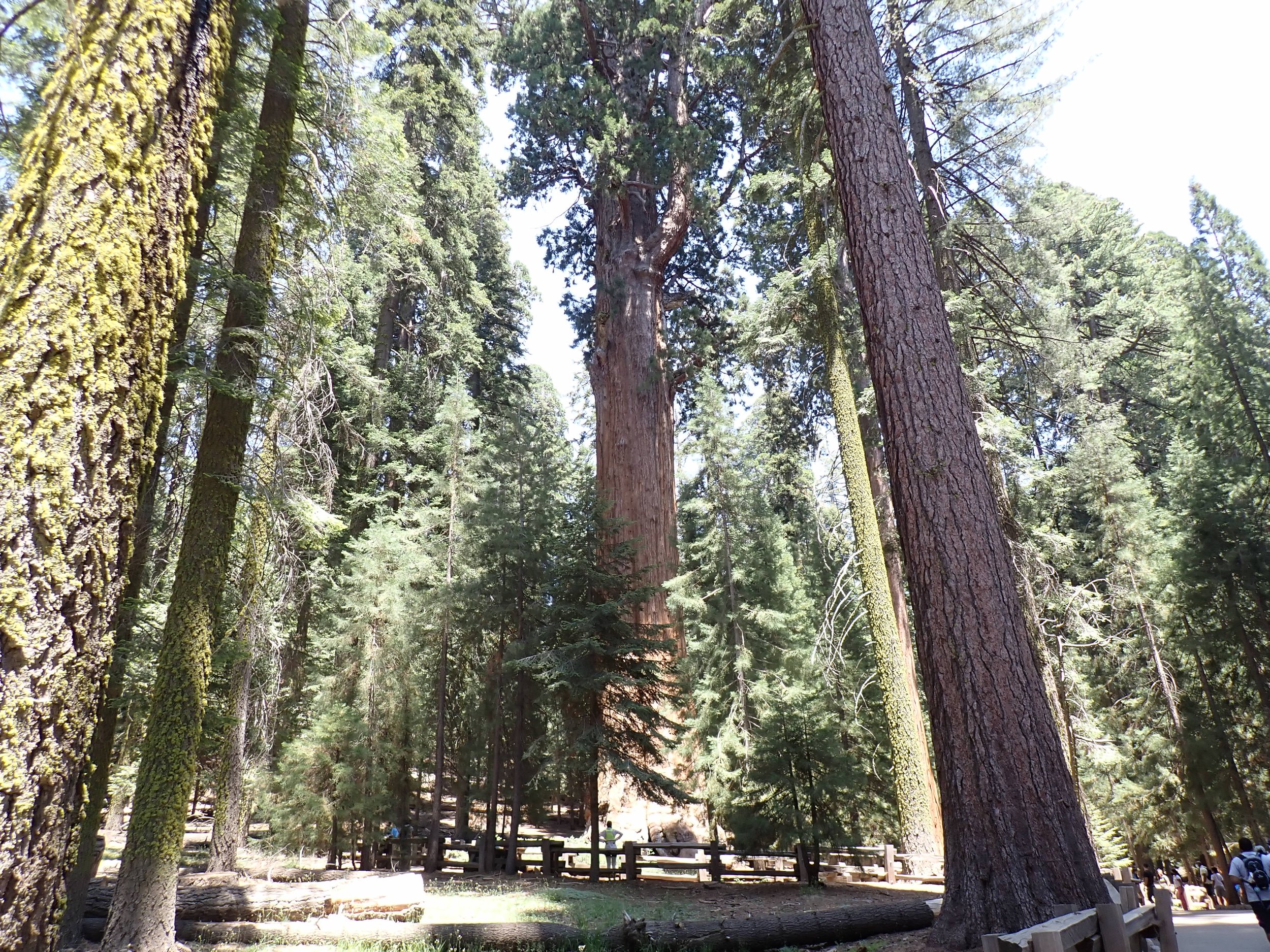 6:20:21200759.jpg