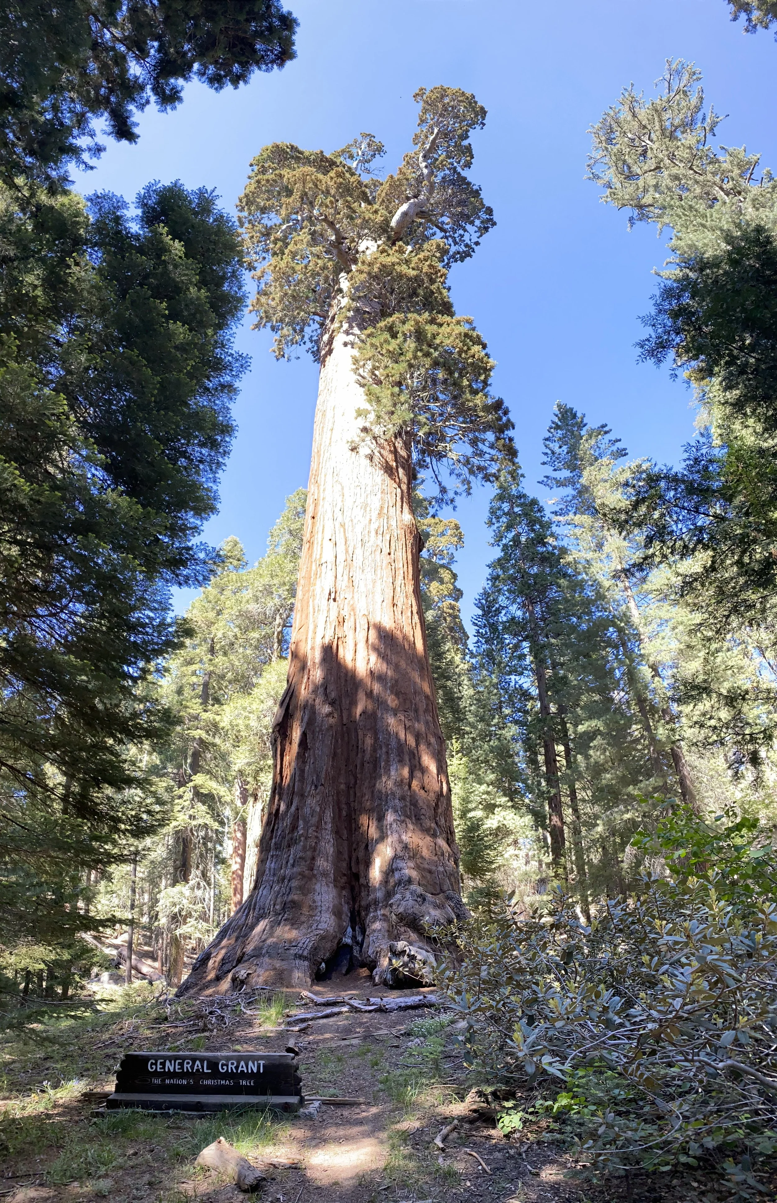 6:21:21_6710.jpg