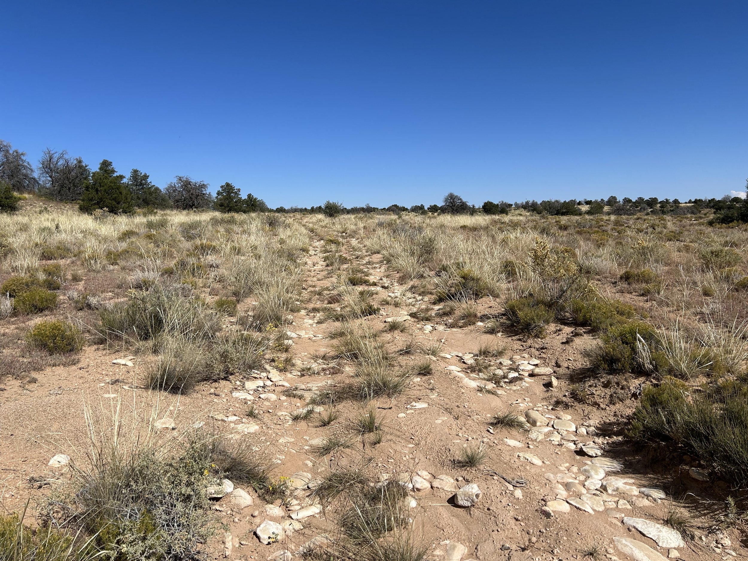 COTC_5226.jpg