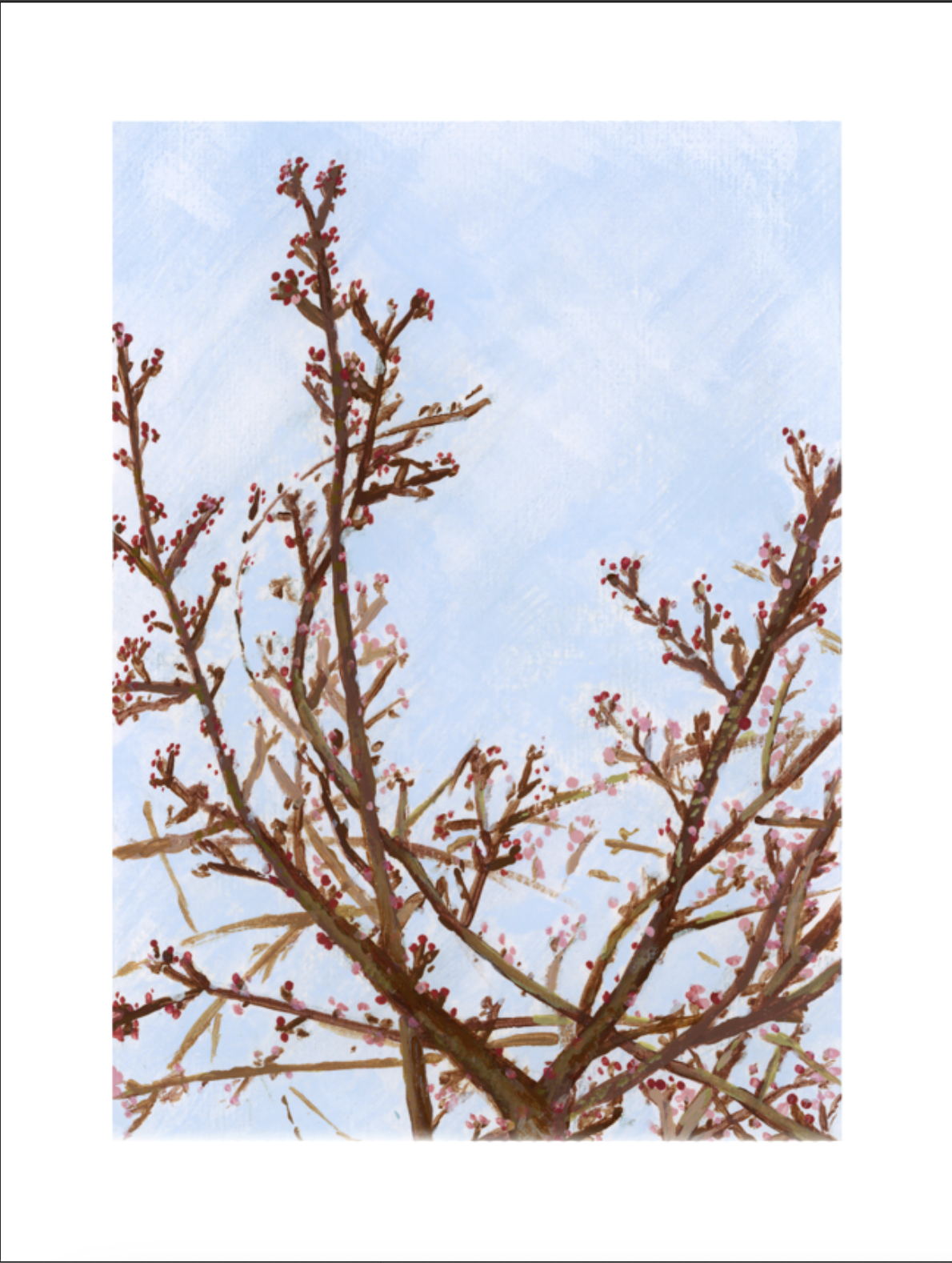 Spring Buds