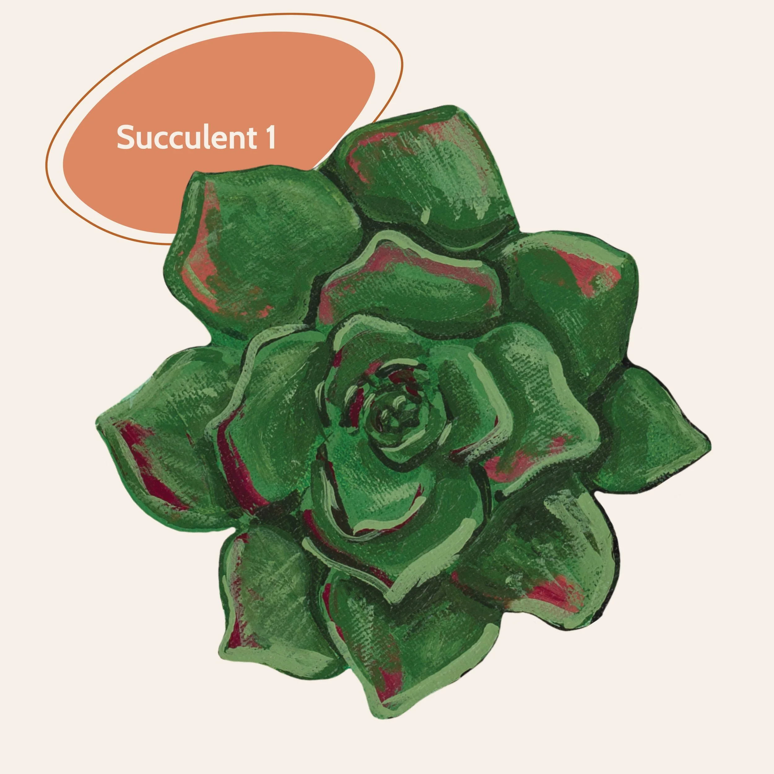 Succulent2.jpg