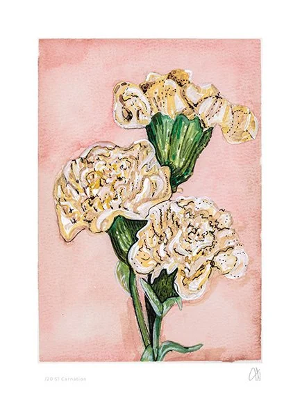 Carnation