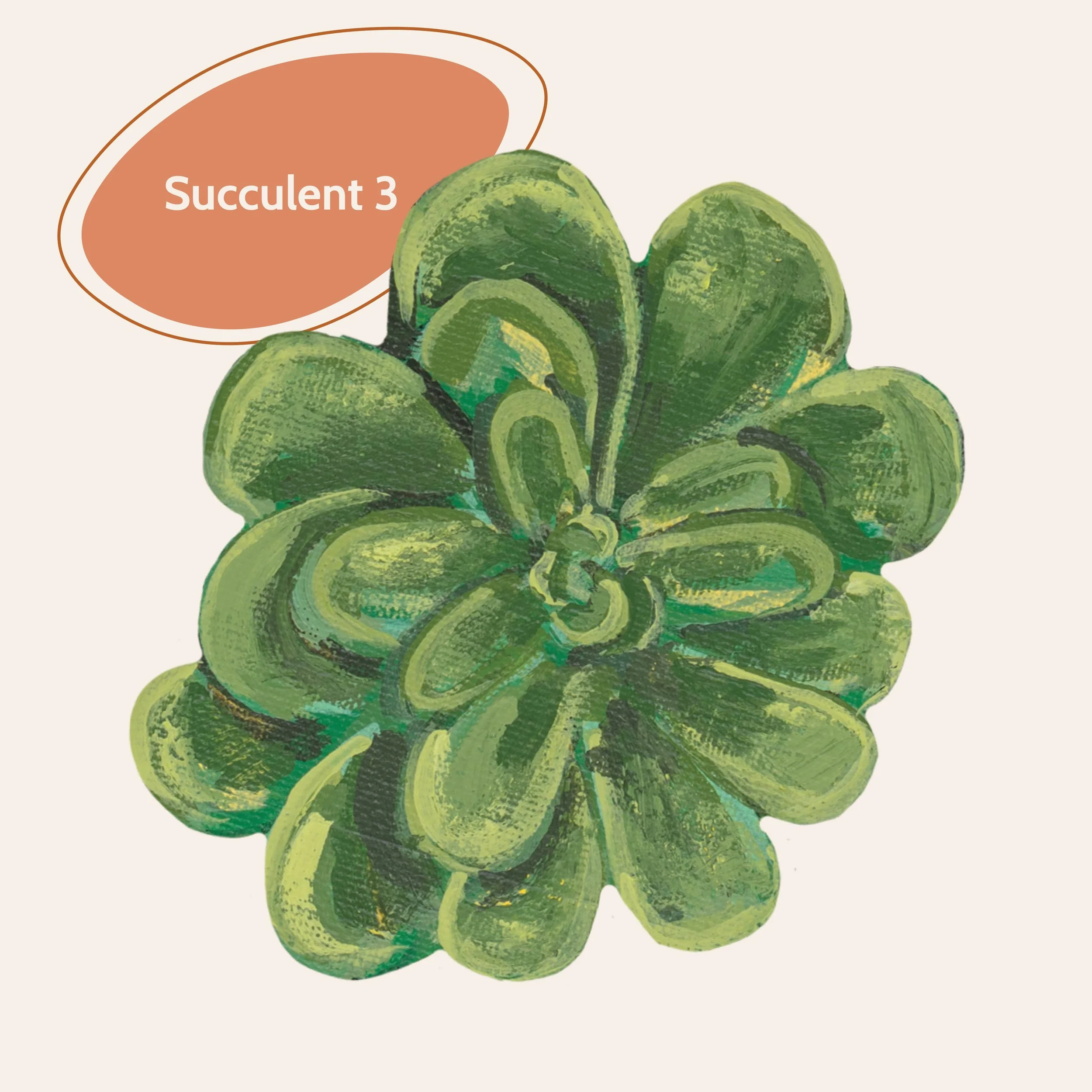 Succulen4.jpg