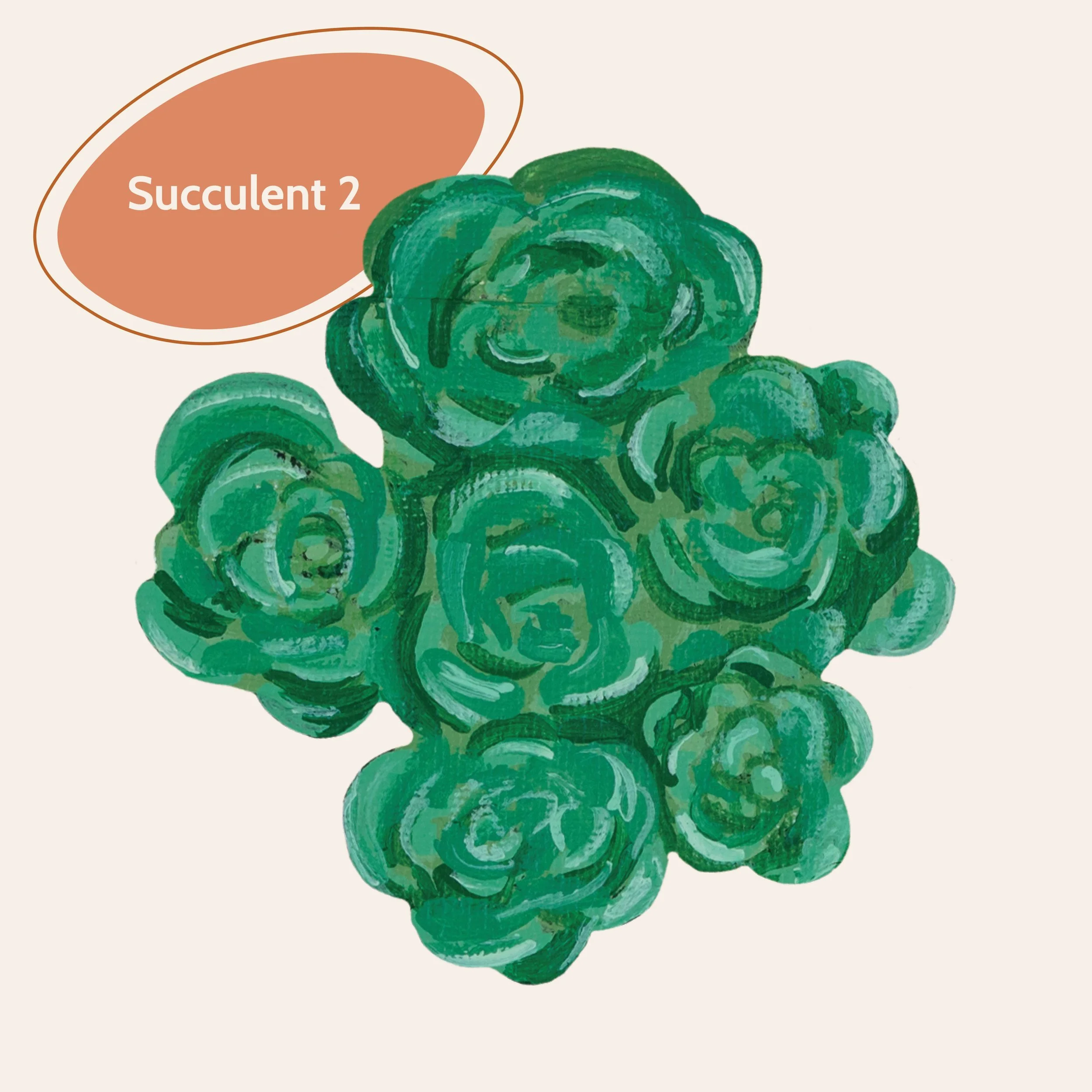 Succulen3.jpg