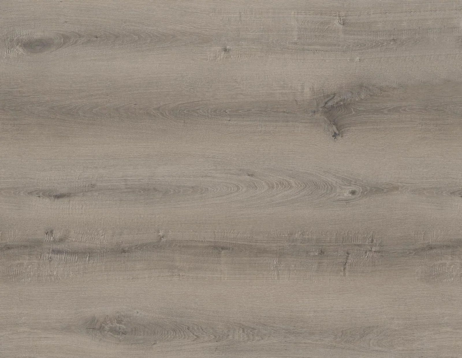 LVT 08
