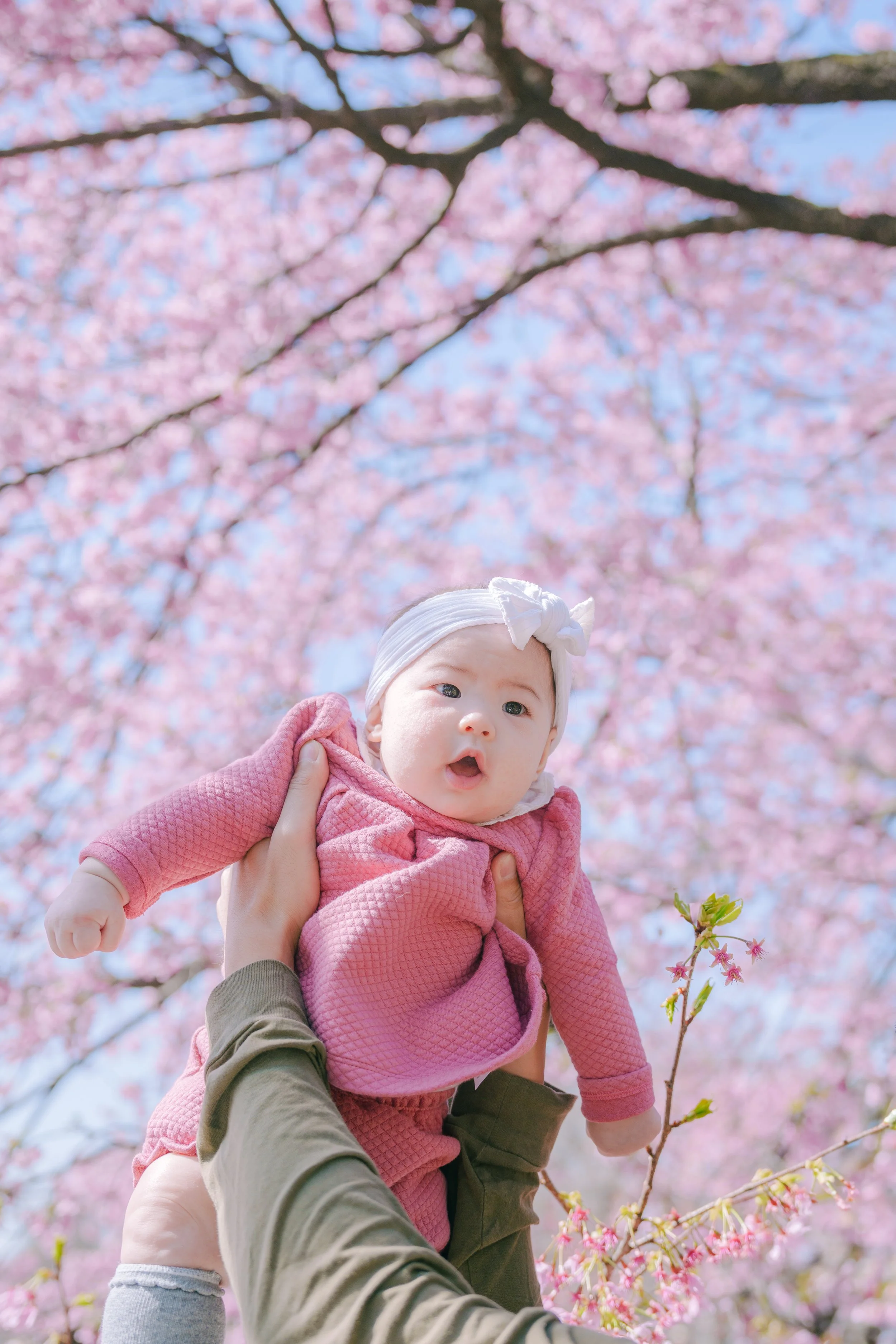 baby under sakura in Tokyo