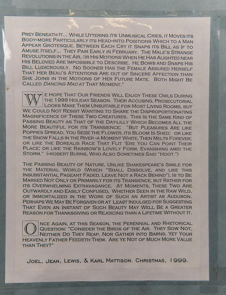 Audubon-great-horned-owl-4.jpg